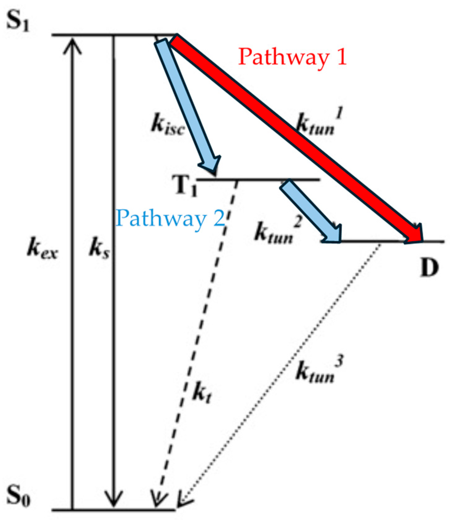 Molecules 29 04243 g010