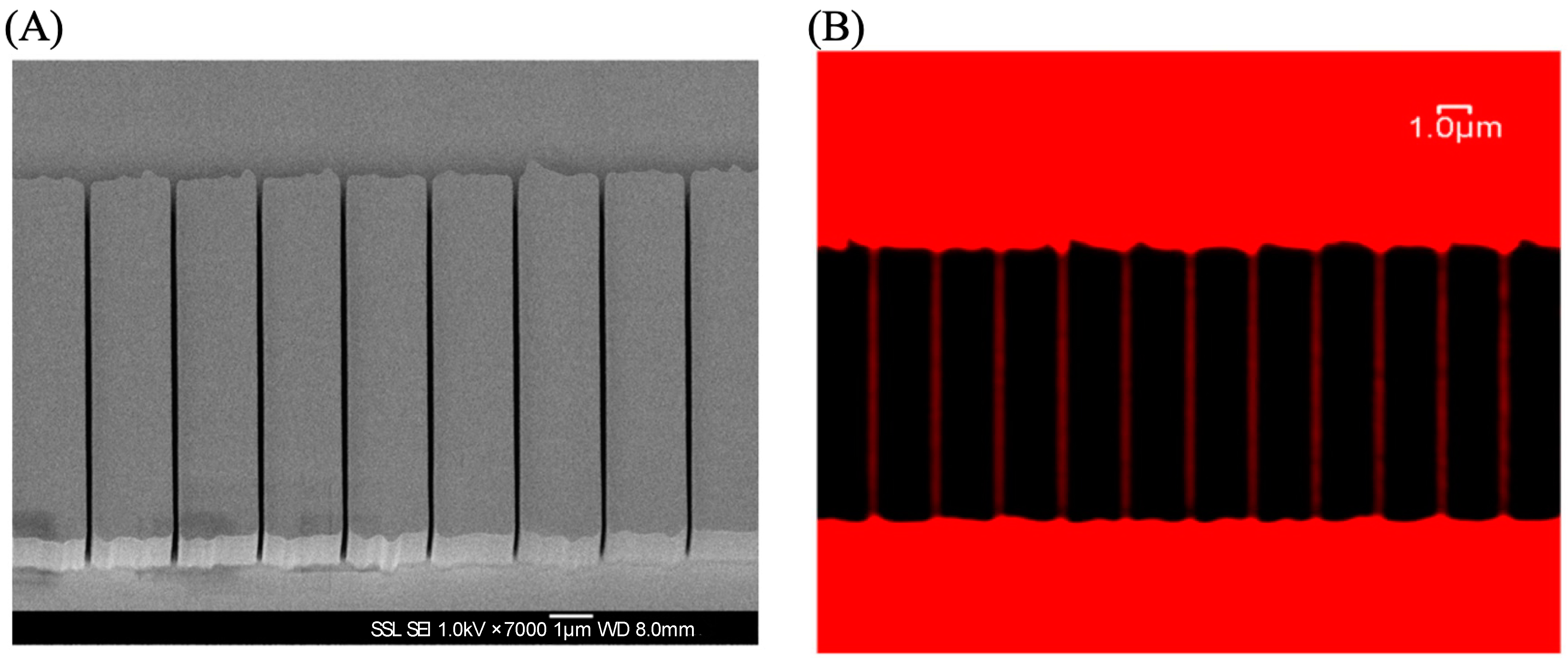 Molecules 29 04243 g013
