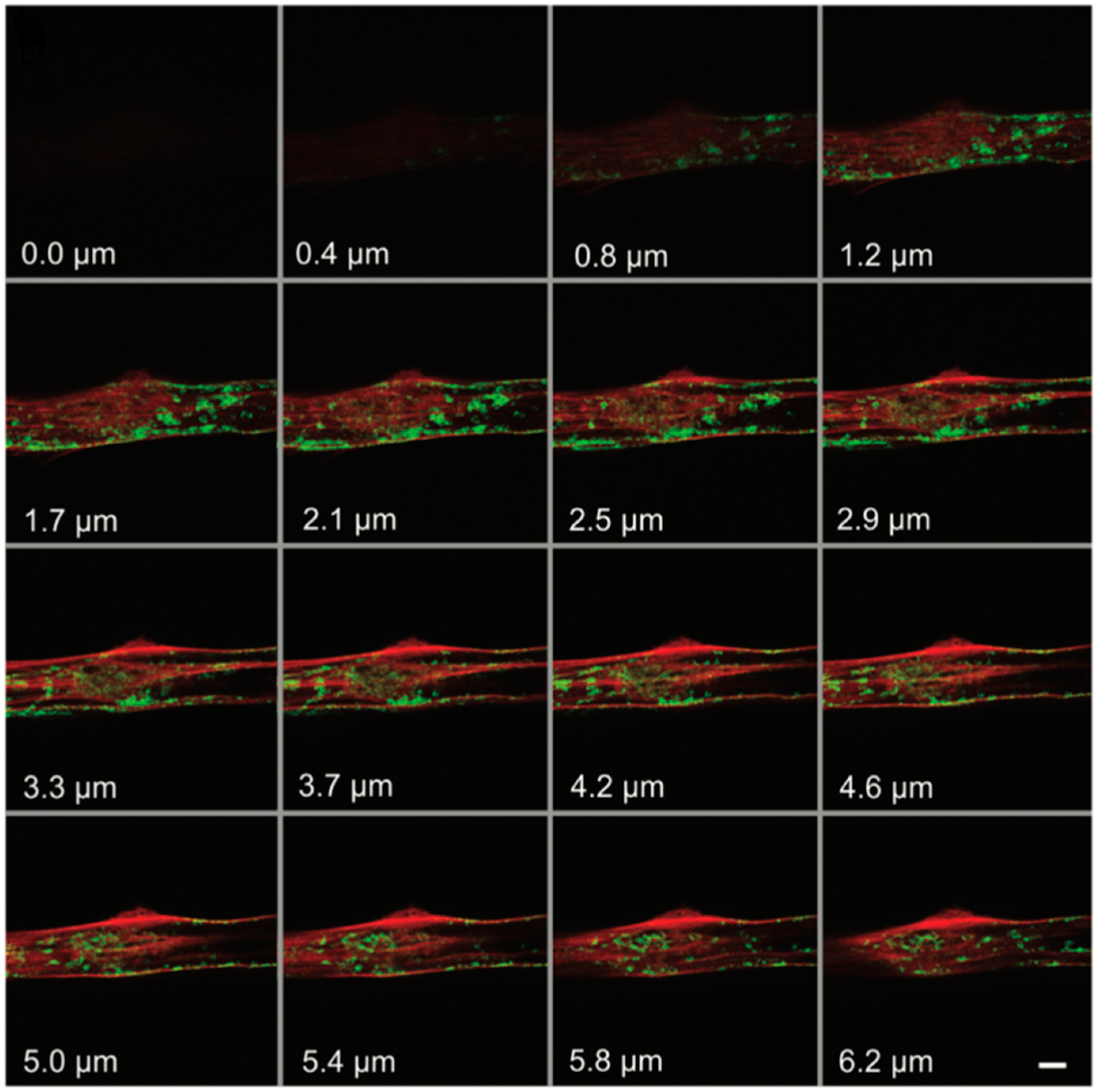Molecules 29 04243 g016