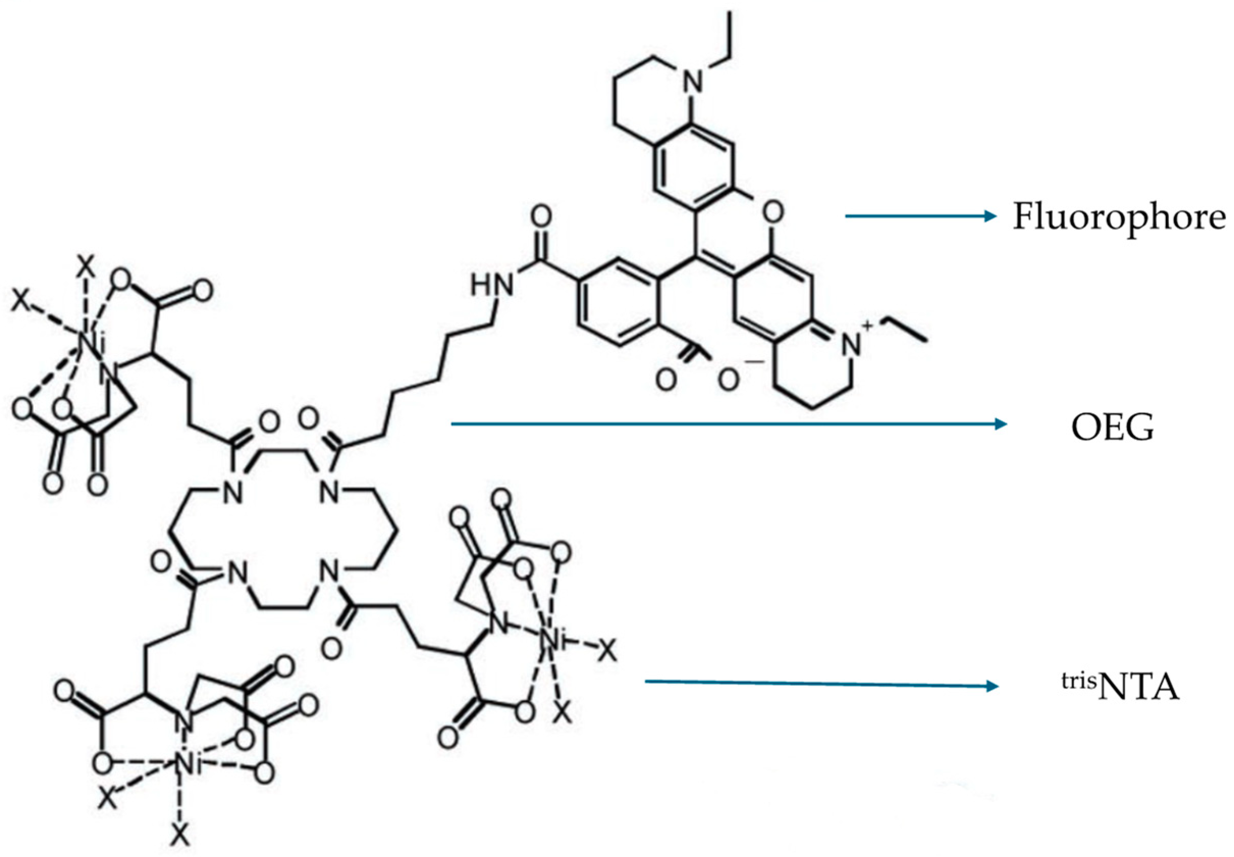 Molecules 29 04243 g021