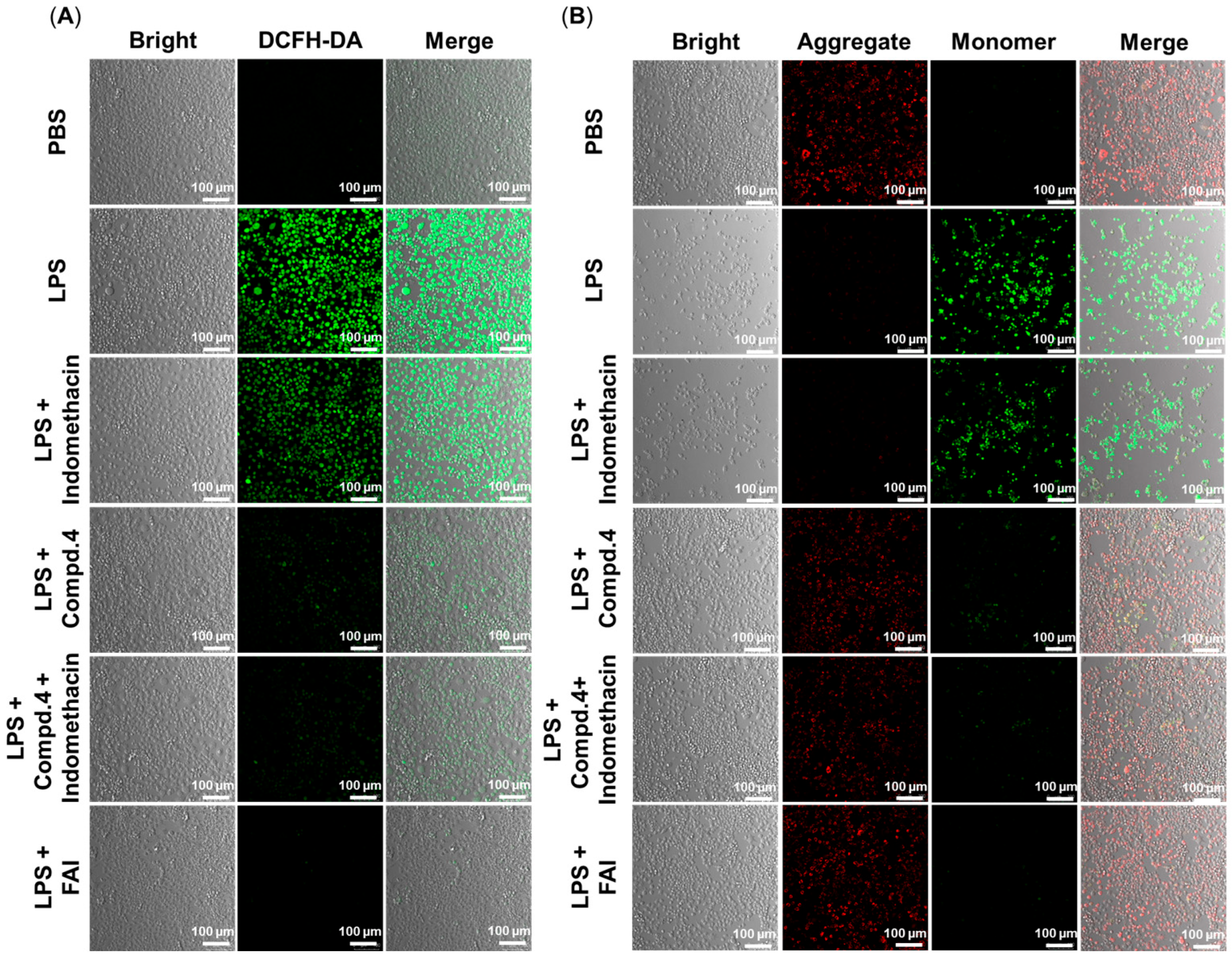 Molecules 29 04244 g004 Molecules 29 04244 g004