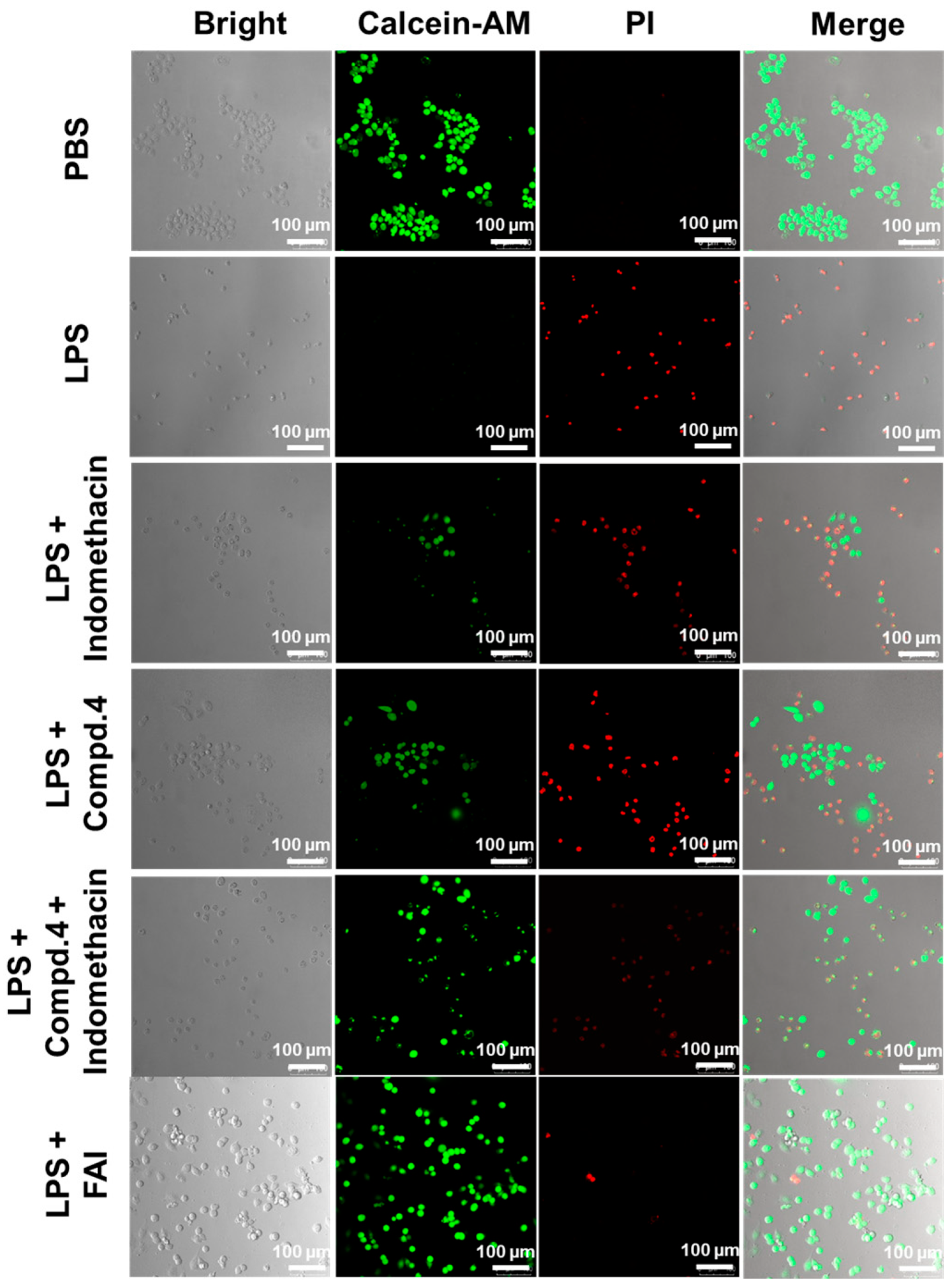 Molecules 29 04244 g005 Molecules 29 04244 g005