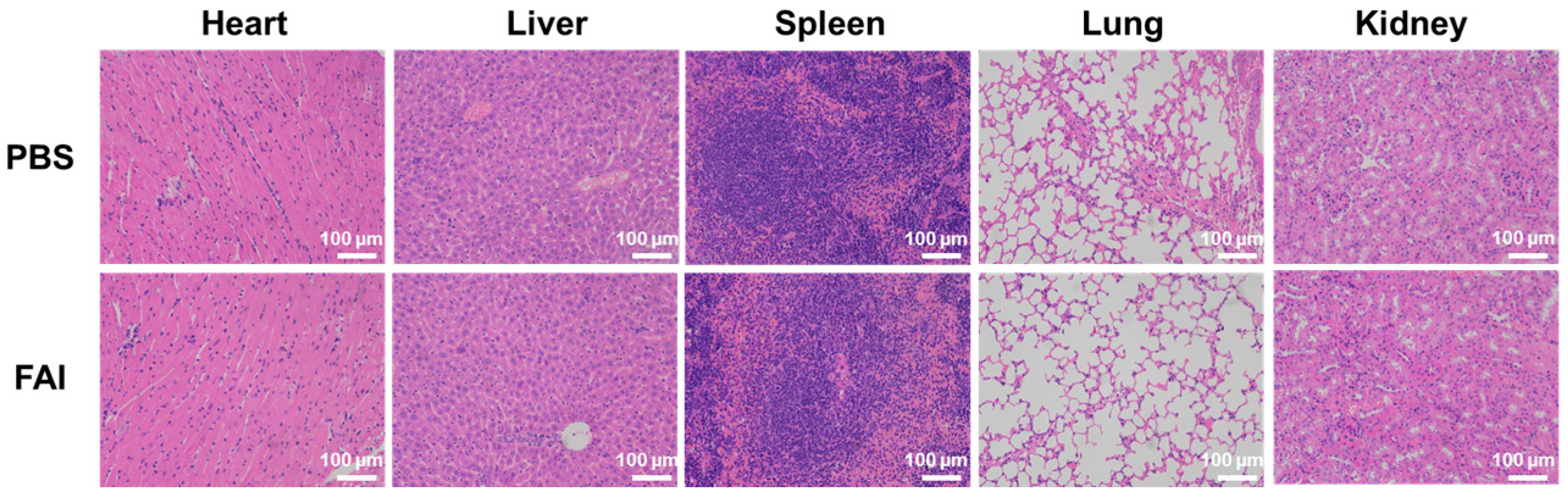 Molecules 29 04244 g008 Molecules 29 04244 g008