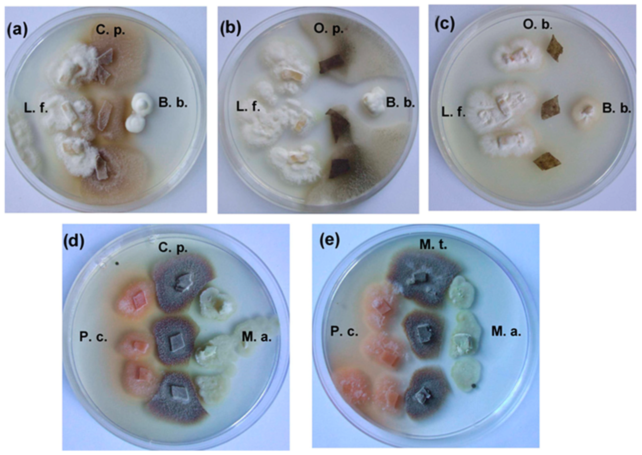 Molecules 29 04252 g004 Molecules 29 04252 g004