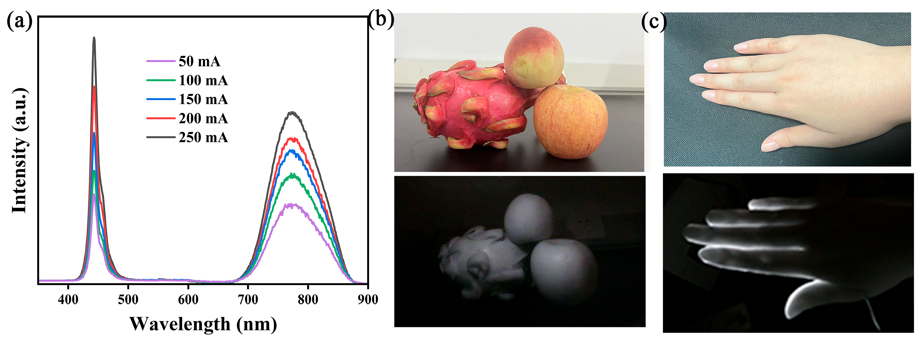 Molecules 29 04253 g008