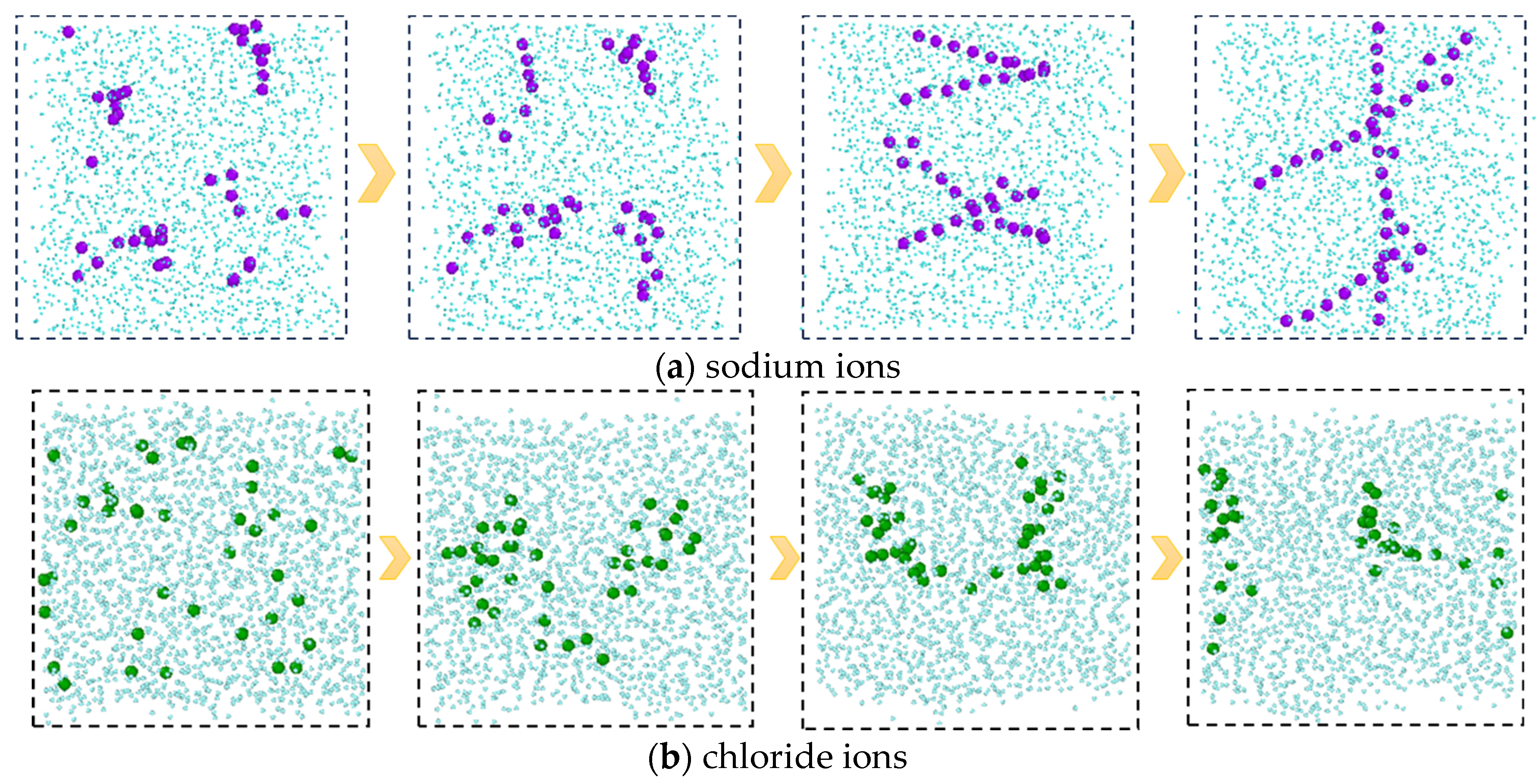 Molecules 29 04256 g006