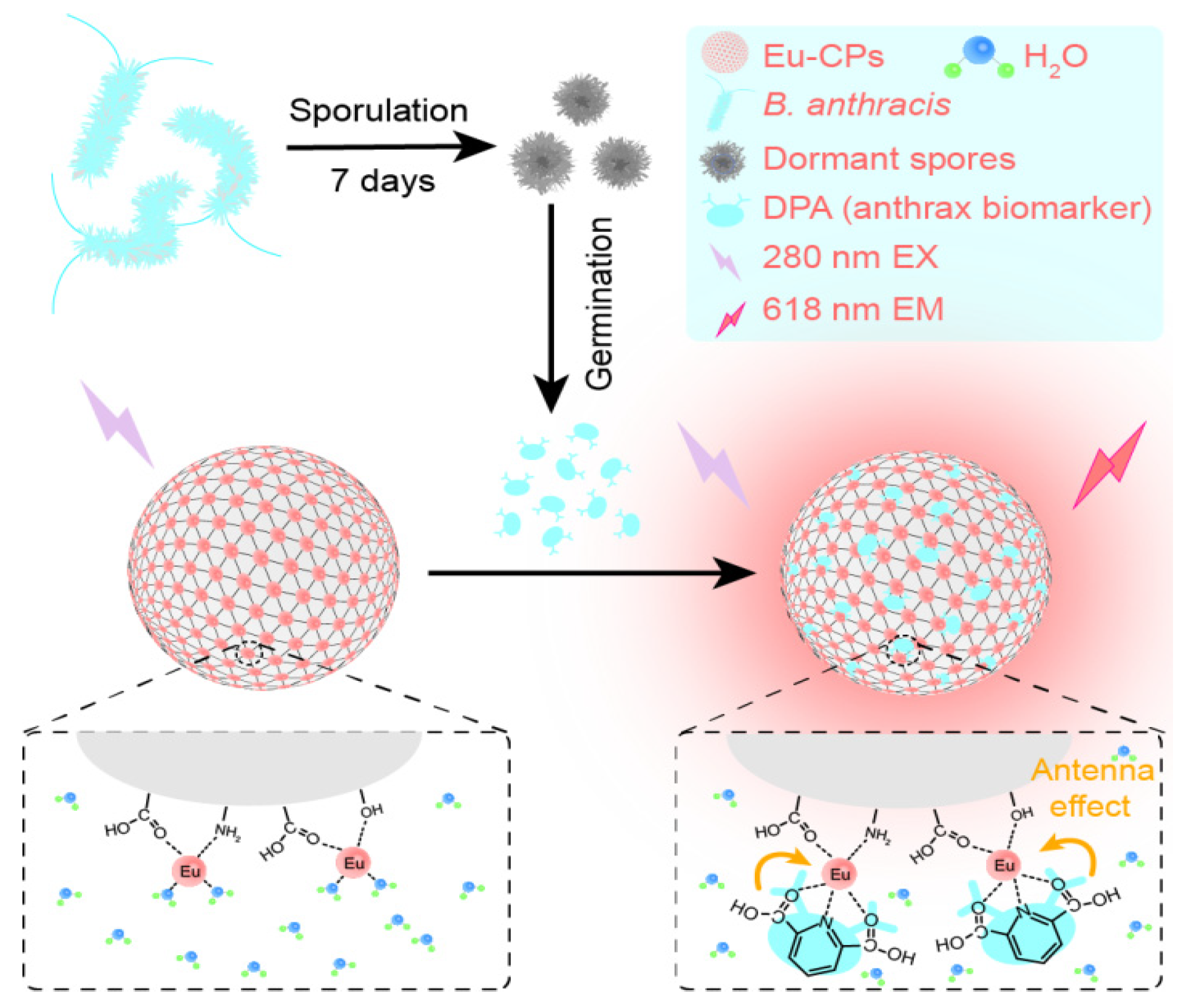 Molecules 29 04259 sch001