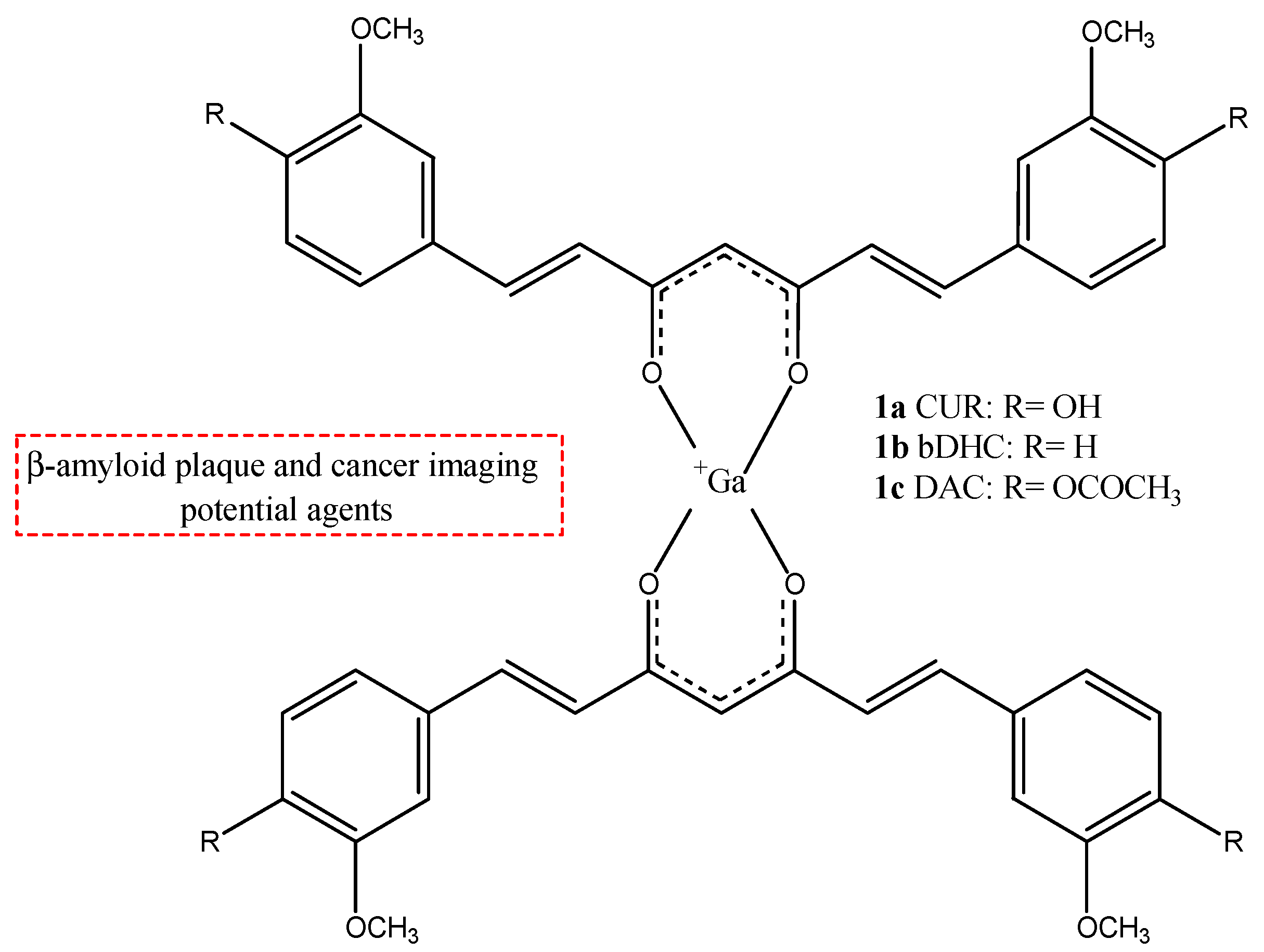 Molecules 29 04260 g002
