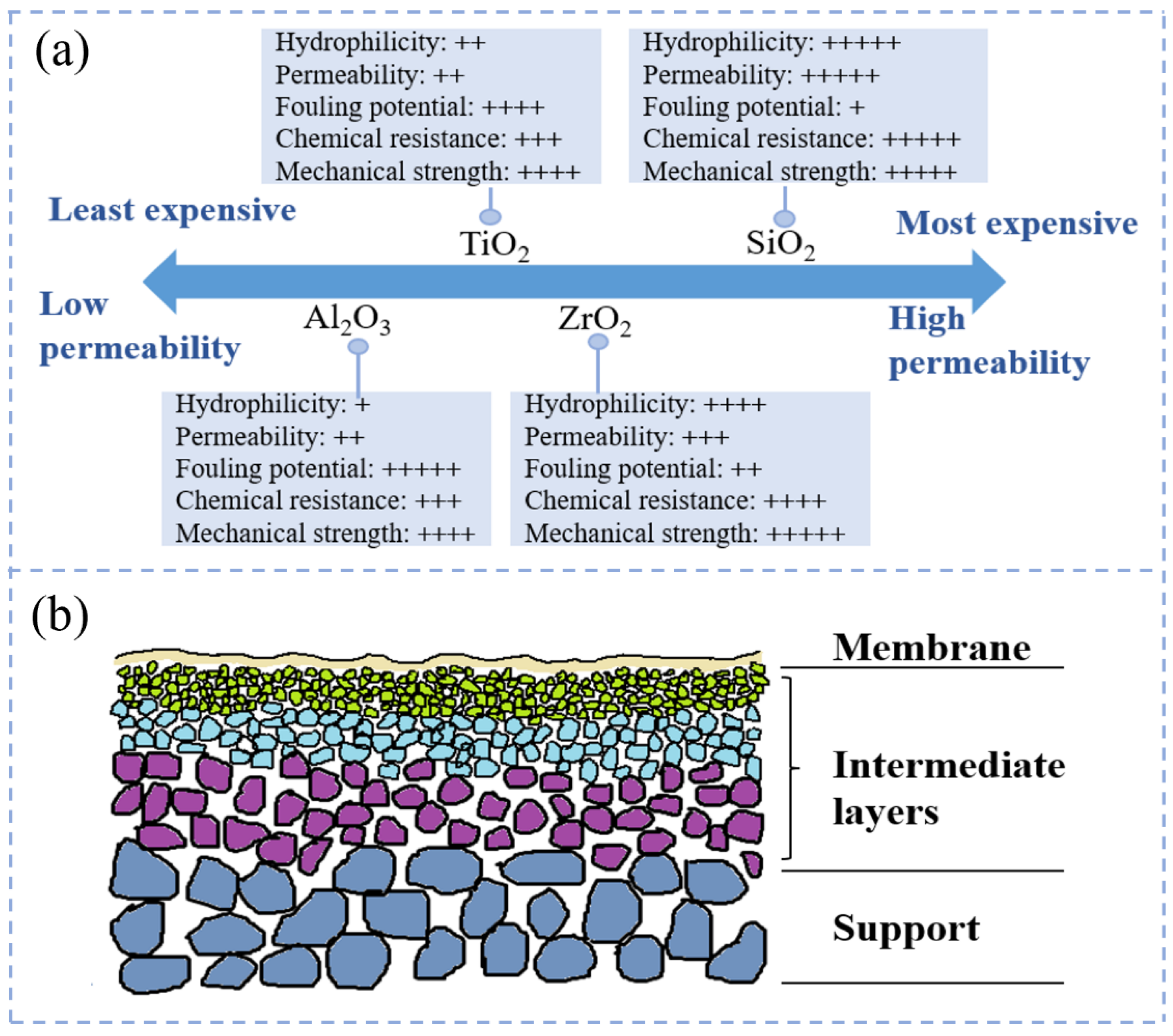 Molecules 29 04267 g001