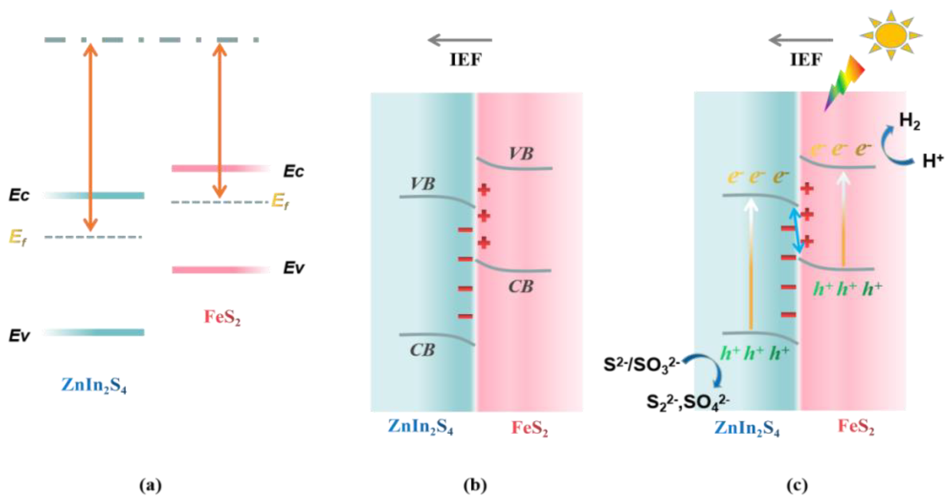 Molecules 29 04269 g008