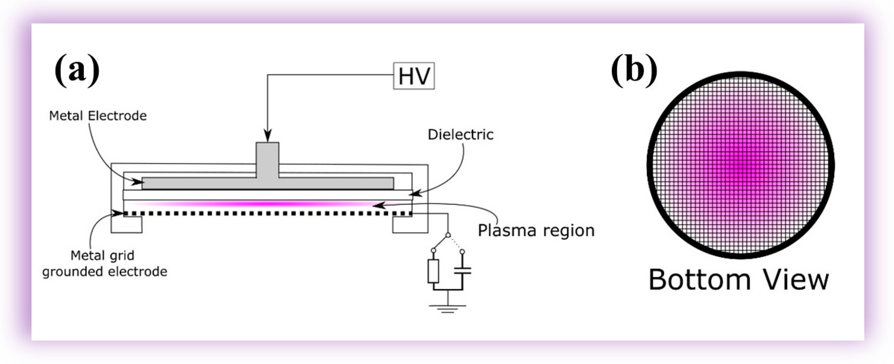 Molecules 29 04270 g008