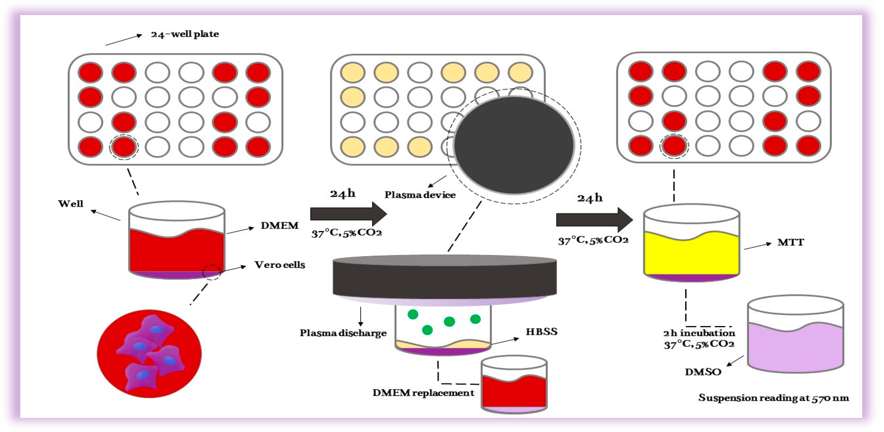 Molecules 29 04270 g010