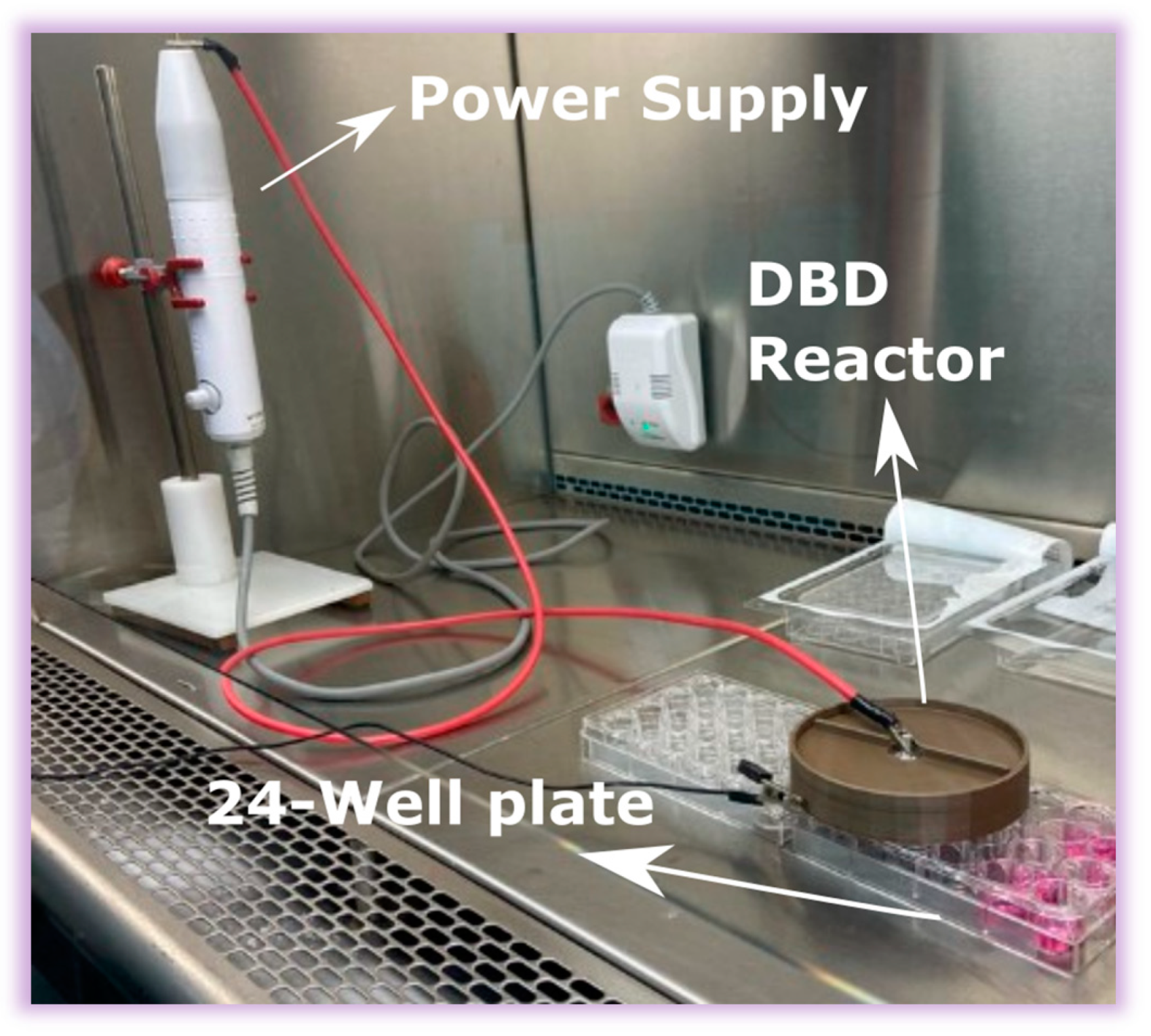Molecules 29 04270 g011