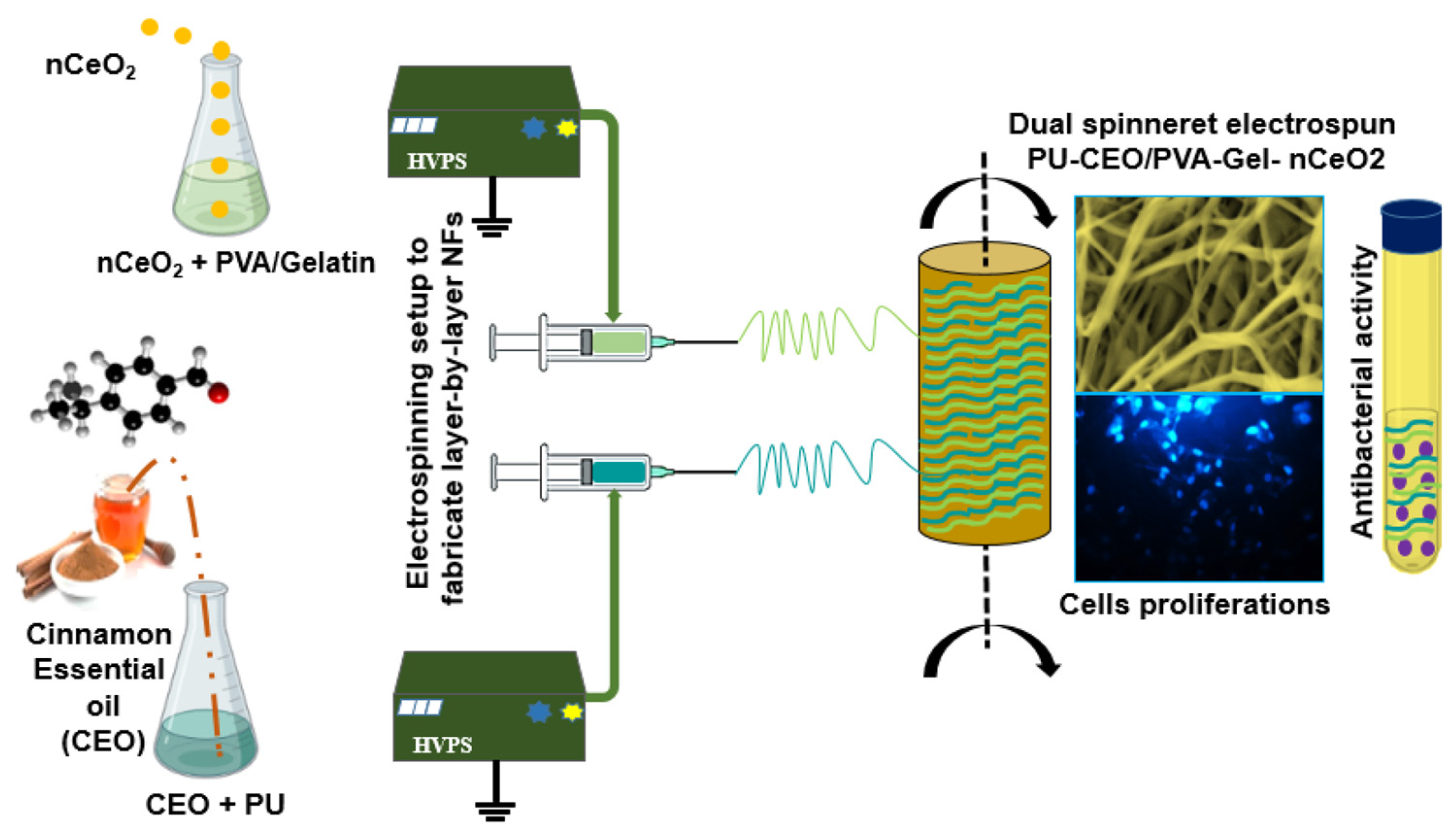 Molecules 29 04271 g002