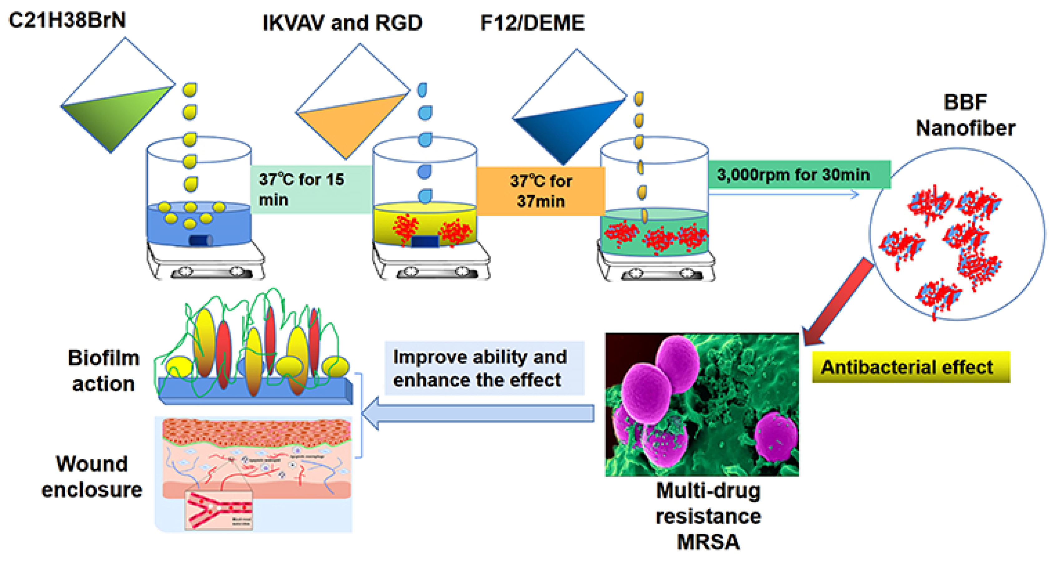 Molecules 29 04271 g007
