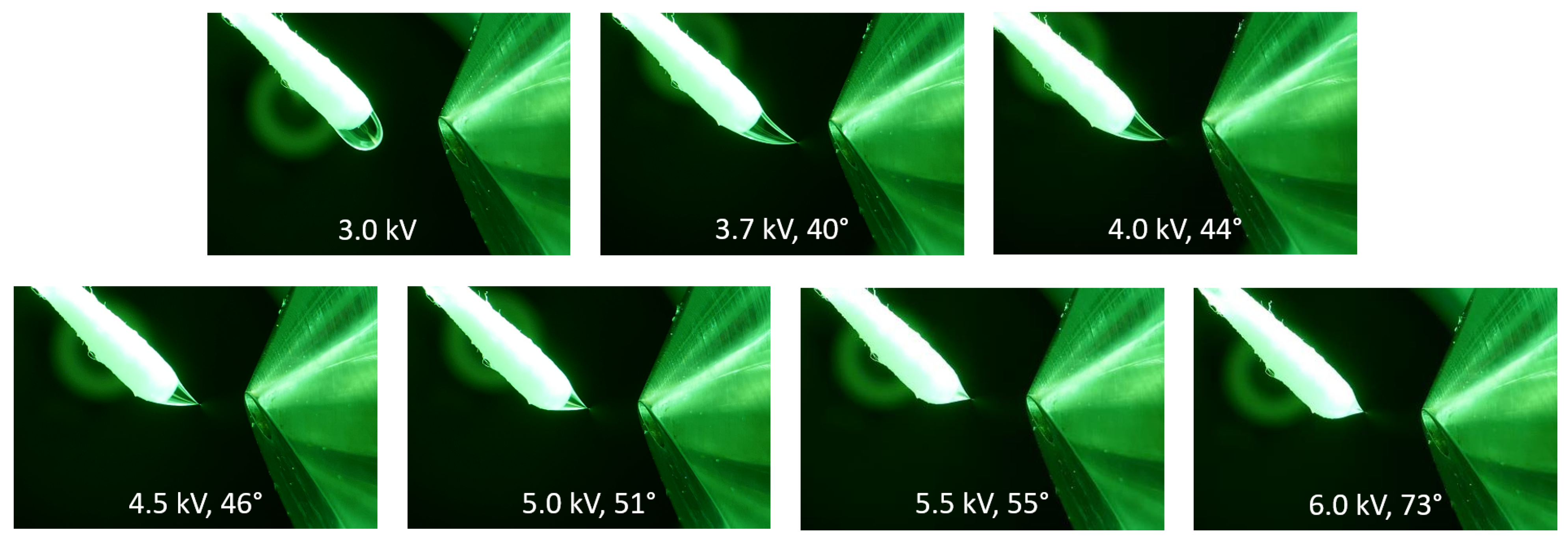 Molecules 29 04274 g002 Molecules 29 04274 g002