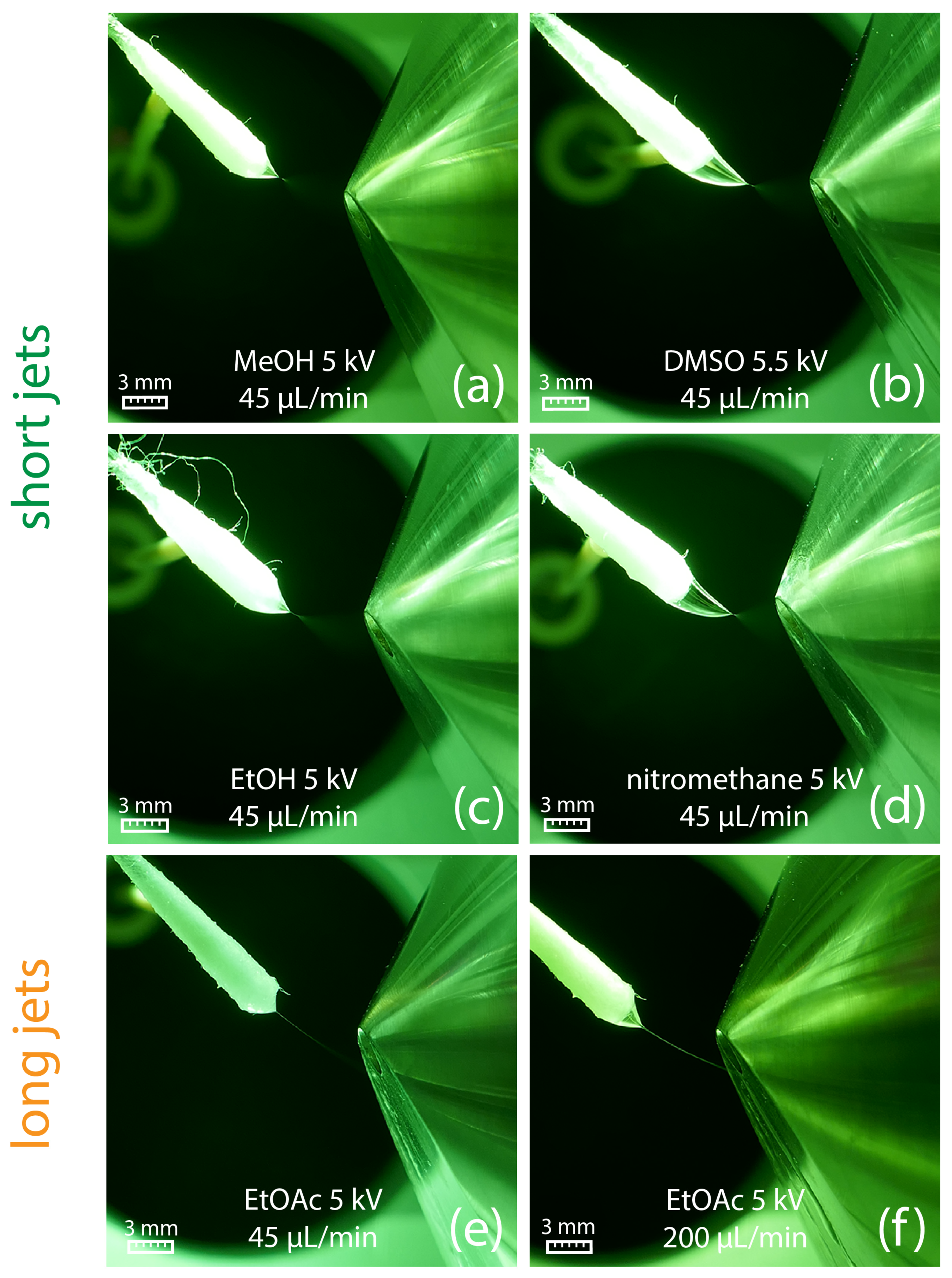 Molecules 29 04274 g003 Molecules 29 04274 g003