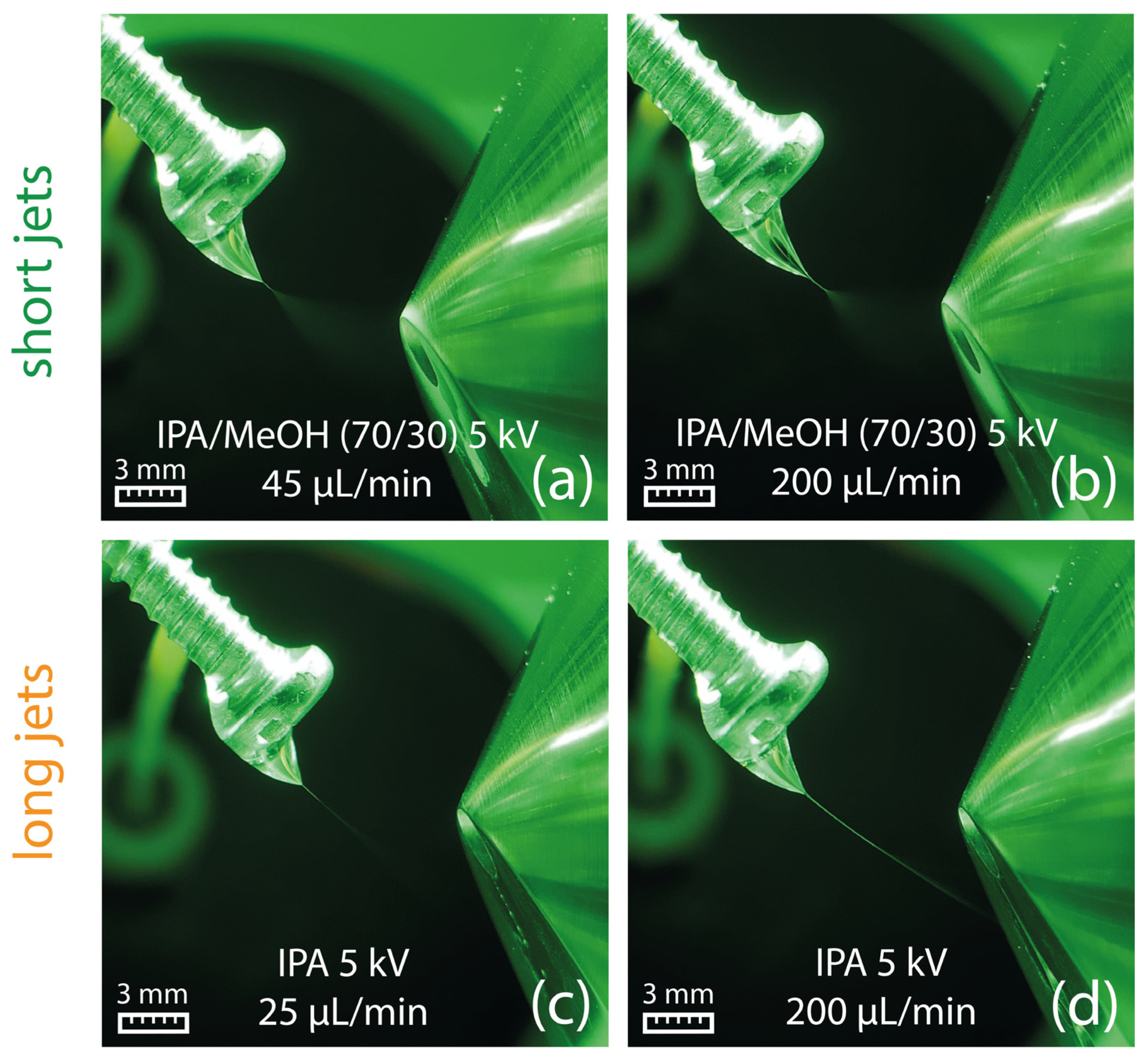 Molecules 29 04274 g007 Molecules 29 04274 g007