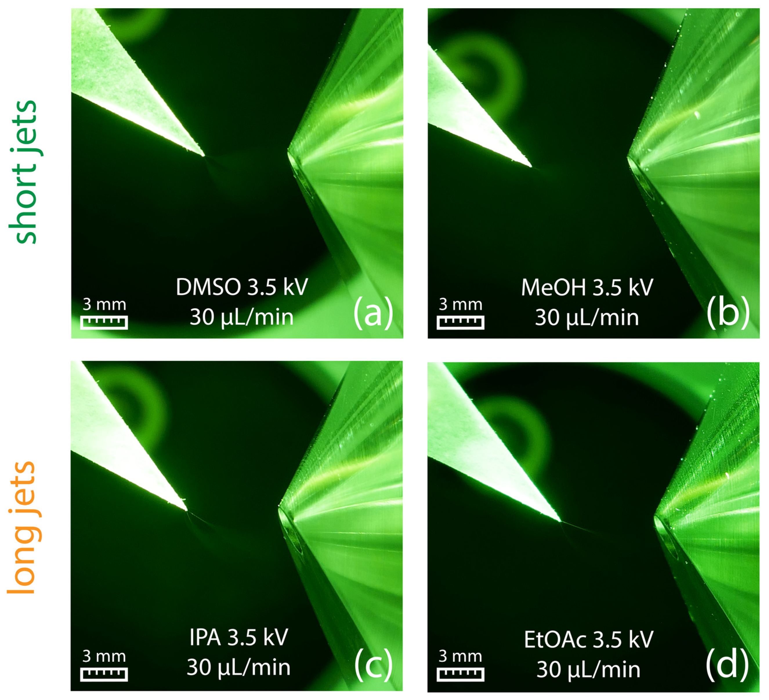 Molecules 29 04274 g009 Molecules 29 04274 g009