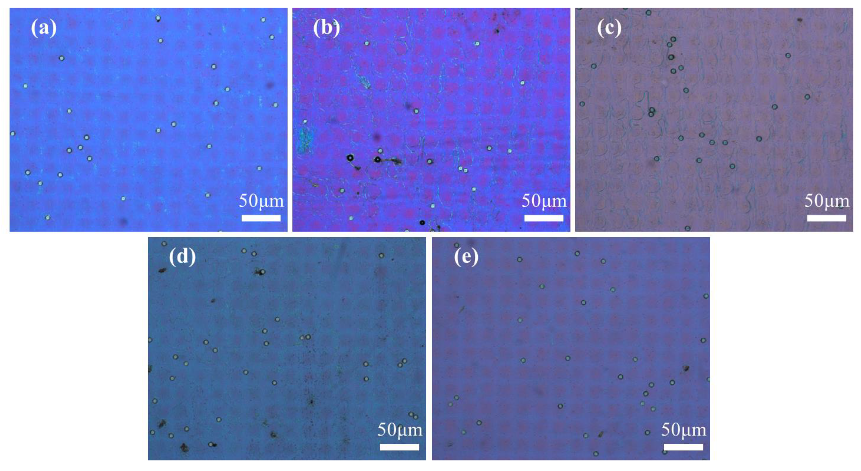 Molecules 29 04276 g002