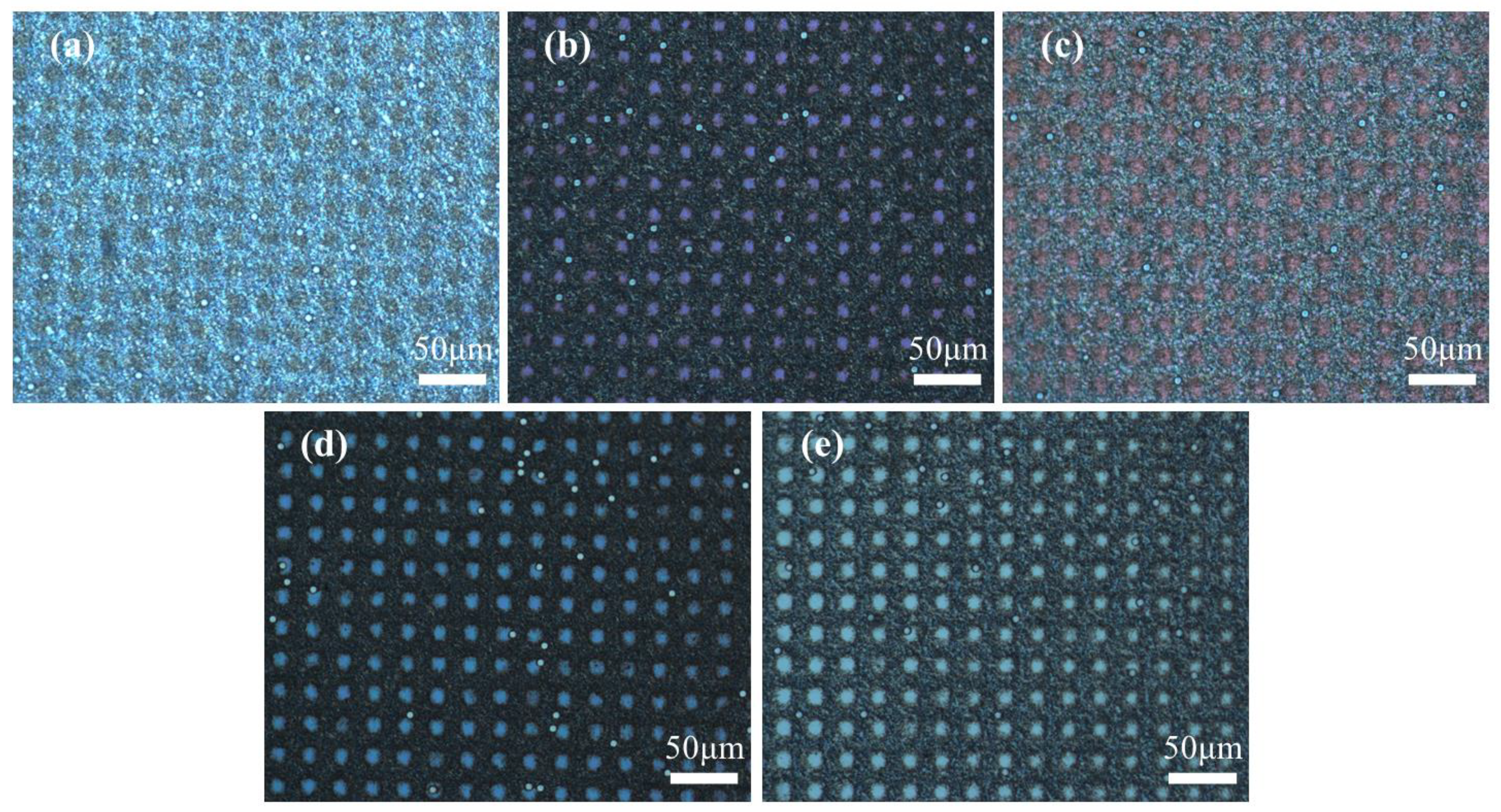 Molecules 29 04276 g003