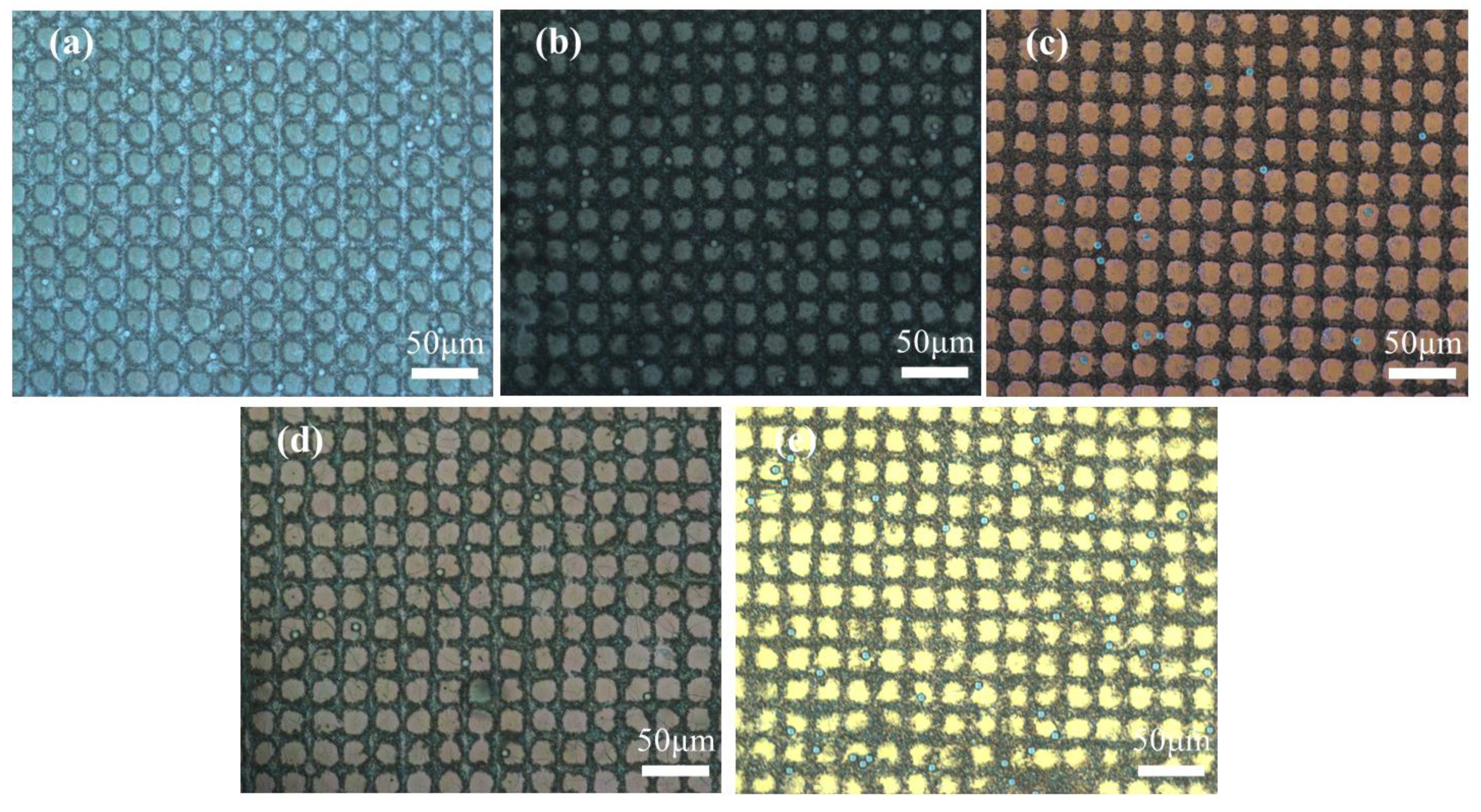 Molecules 29 04276 g007