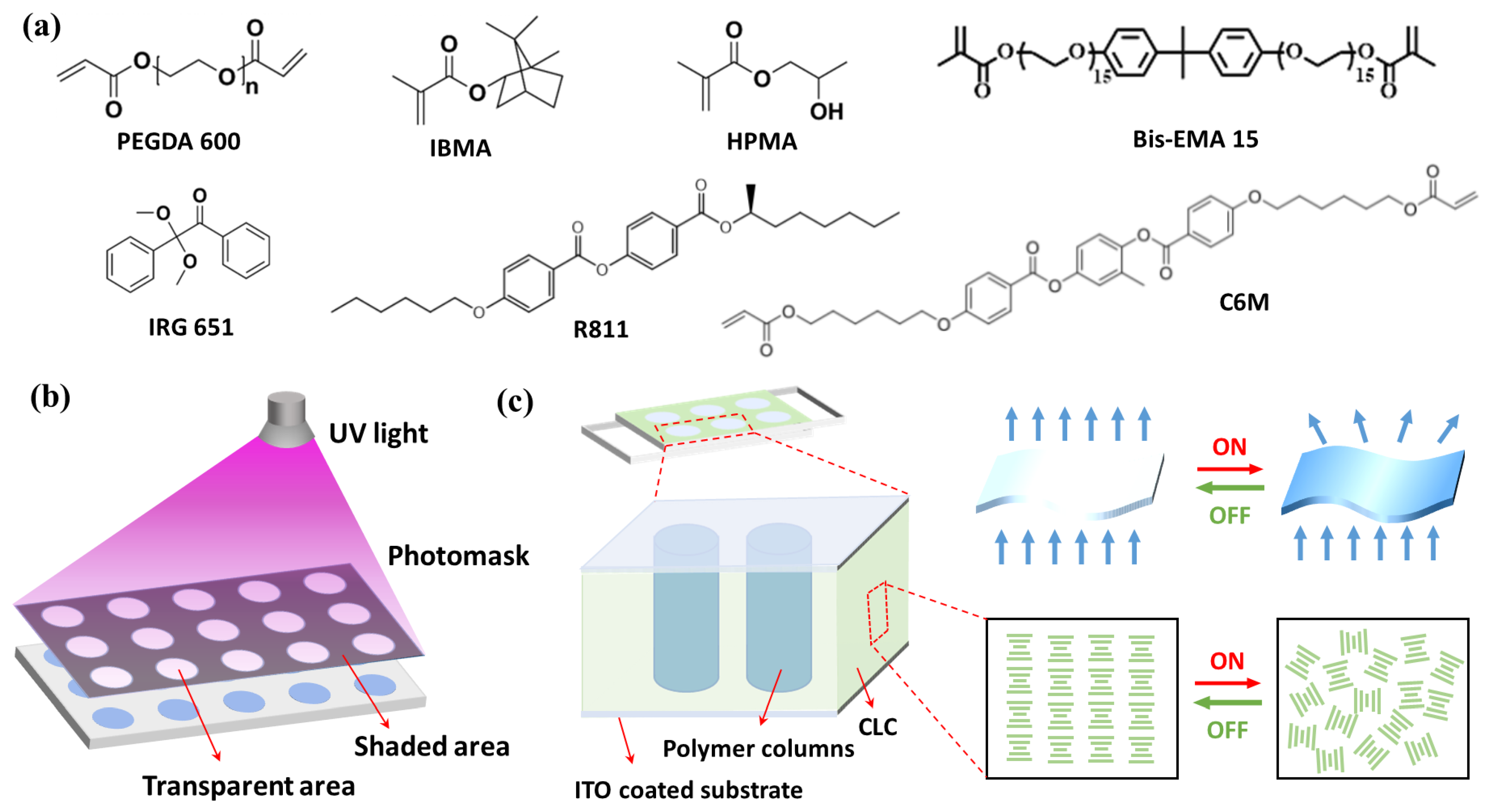 Molecules 29 04276 g010