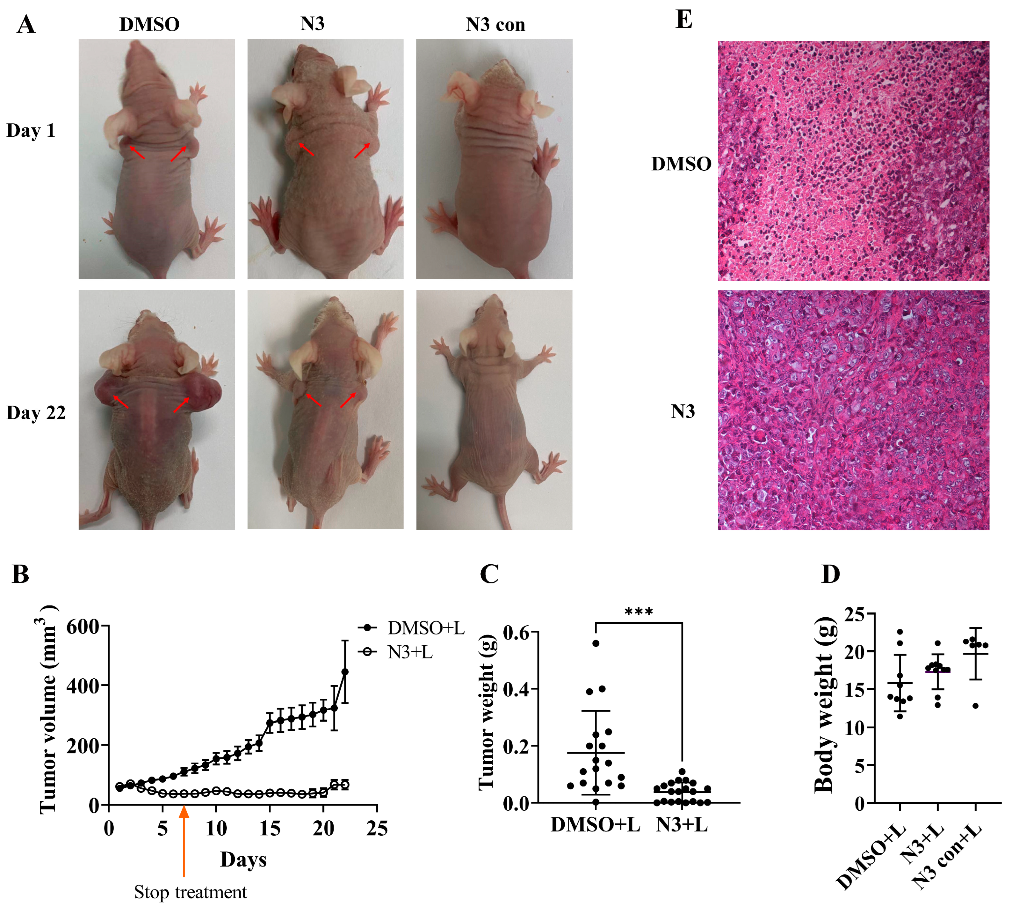 Molecules 29 04277 g005