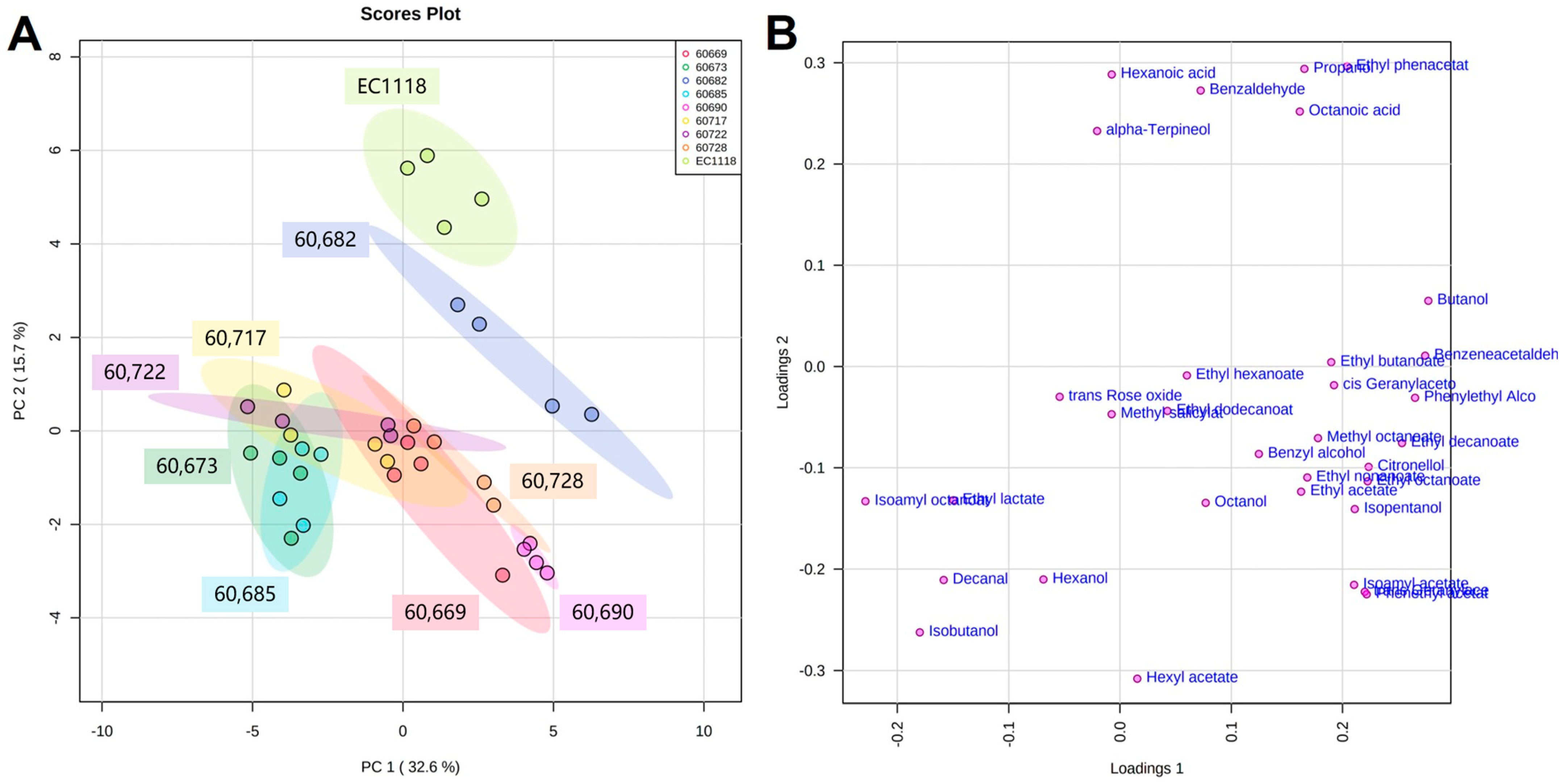 Molecules 29 04279 g001