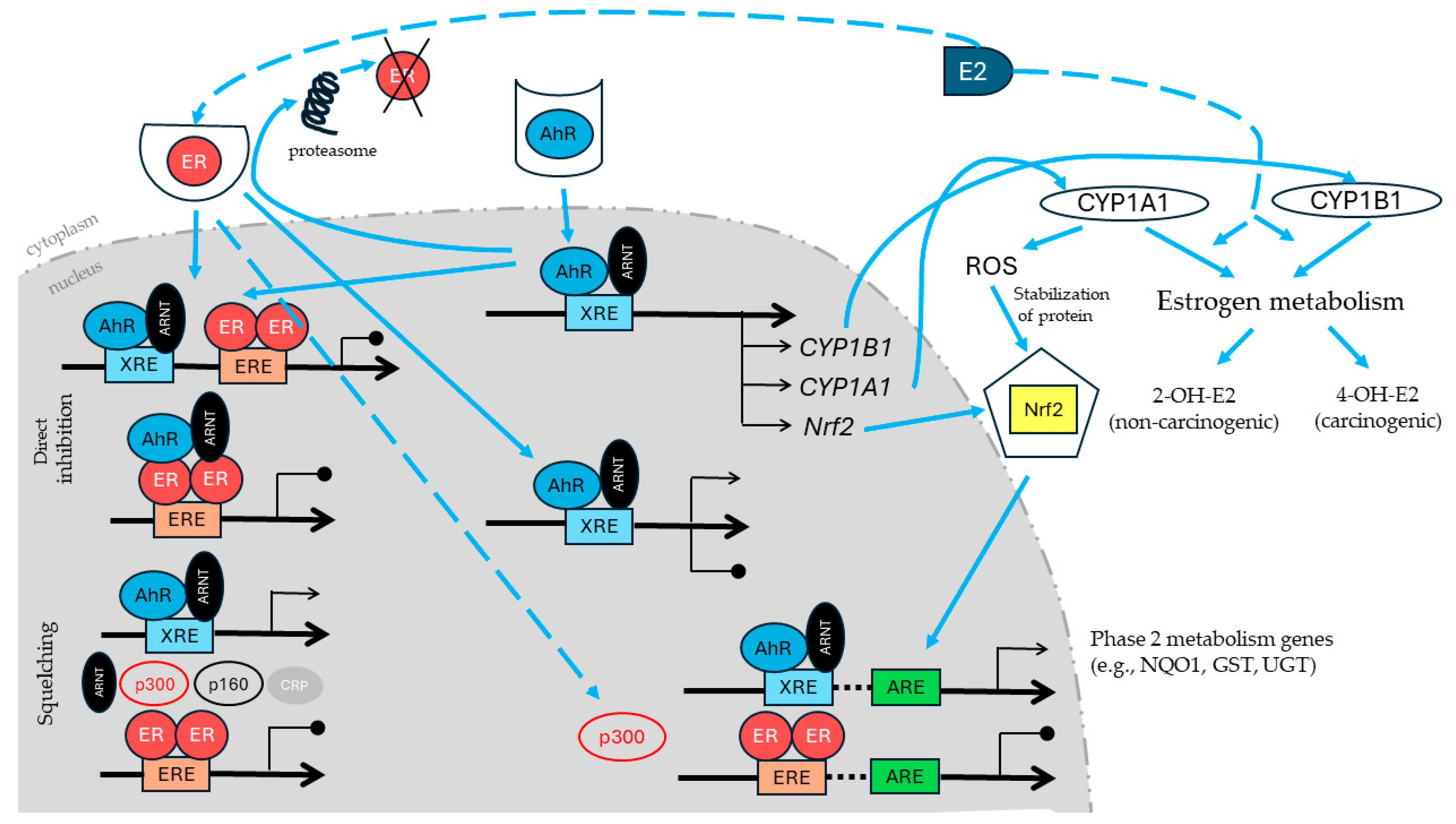 Molecules 29 04283 g001 Molecules 29 04283 g001