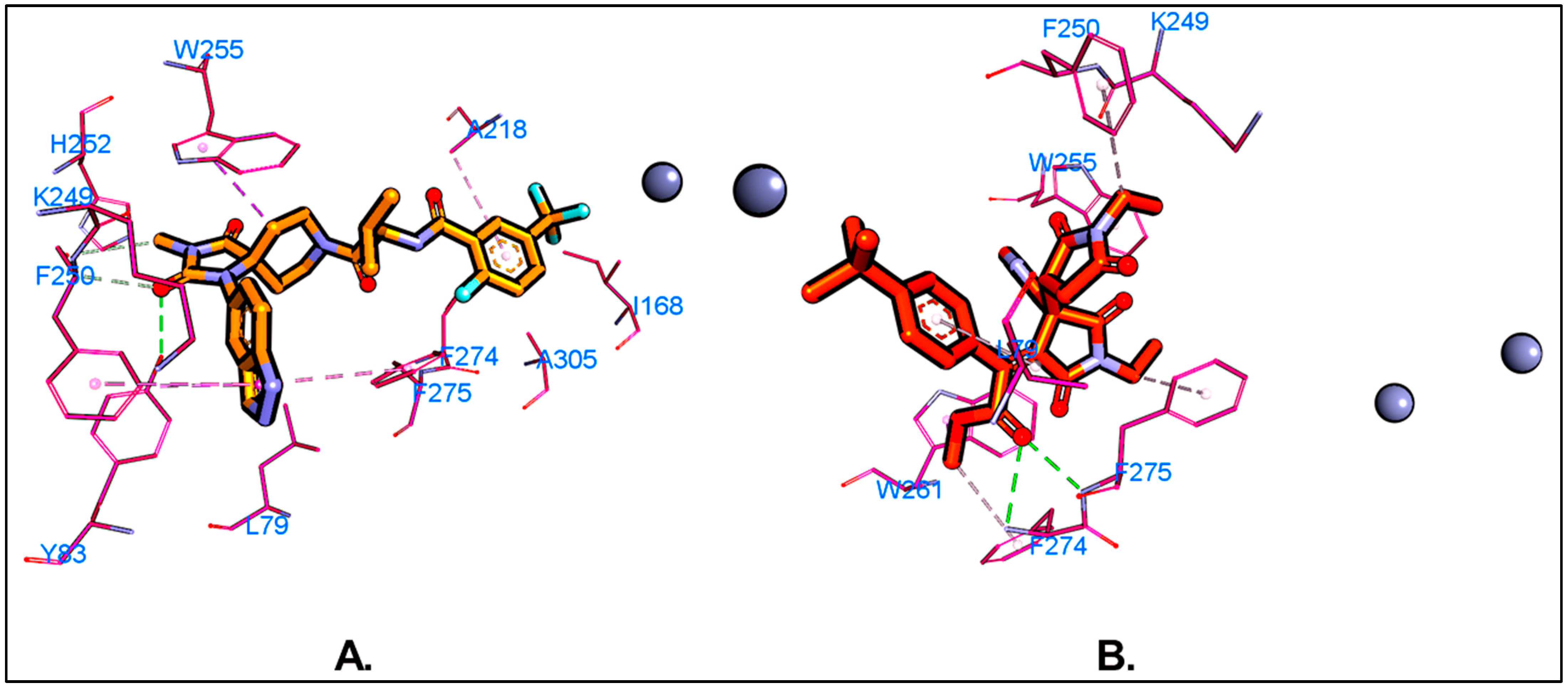 Molecules 29 04285 g003