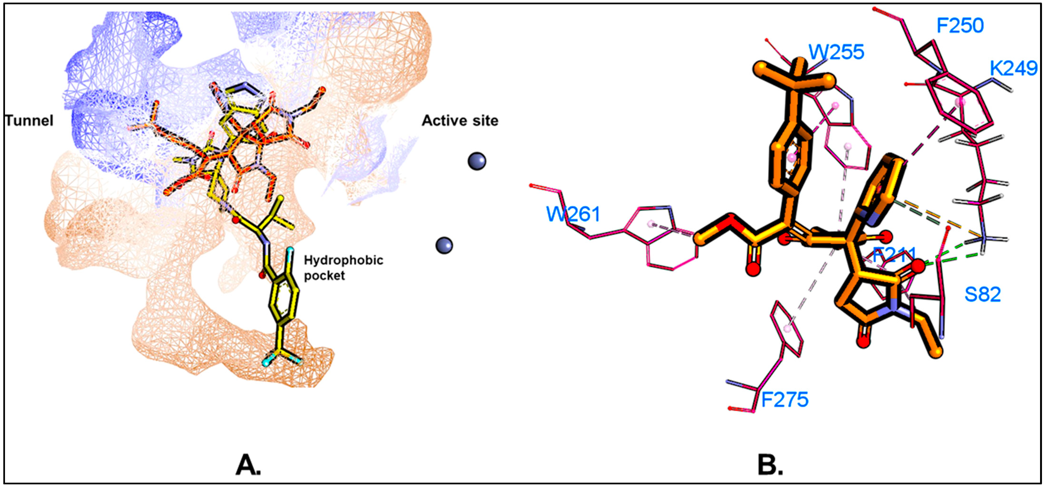 Molecules 29 04285 g006