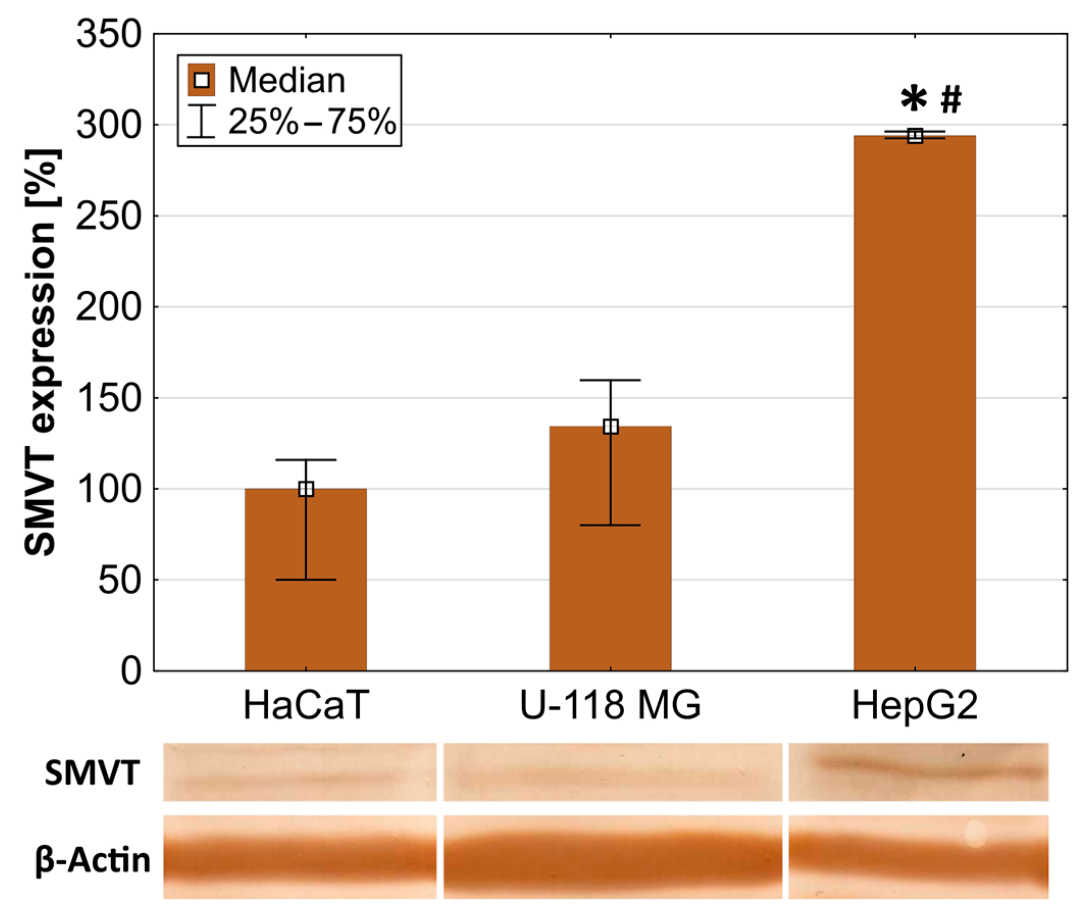 Molecules 29 04293 g003