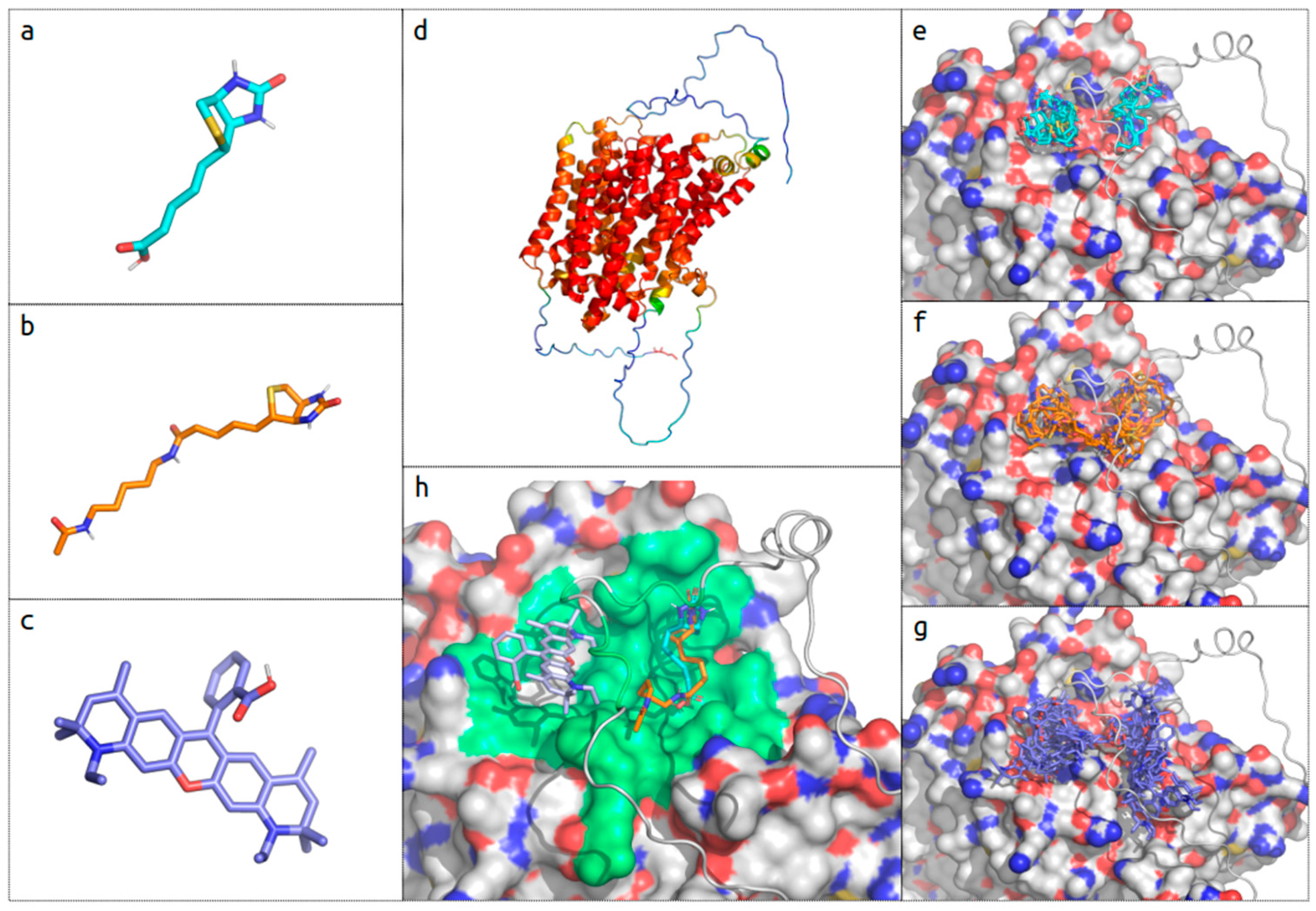 Molecules 29 04293 g006