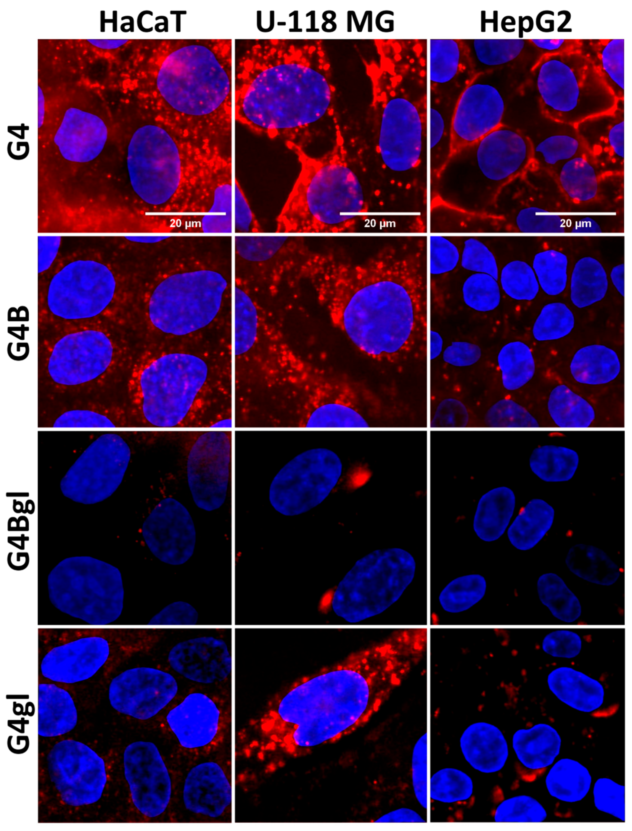 Molecules 29 04293 g010