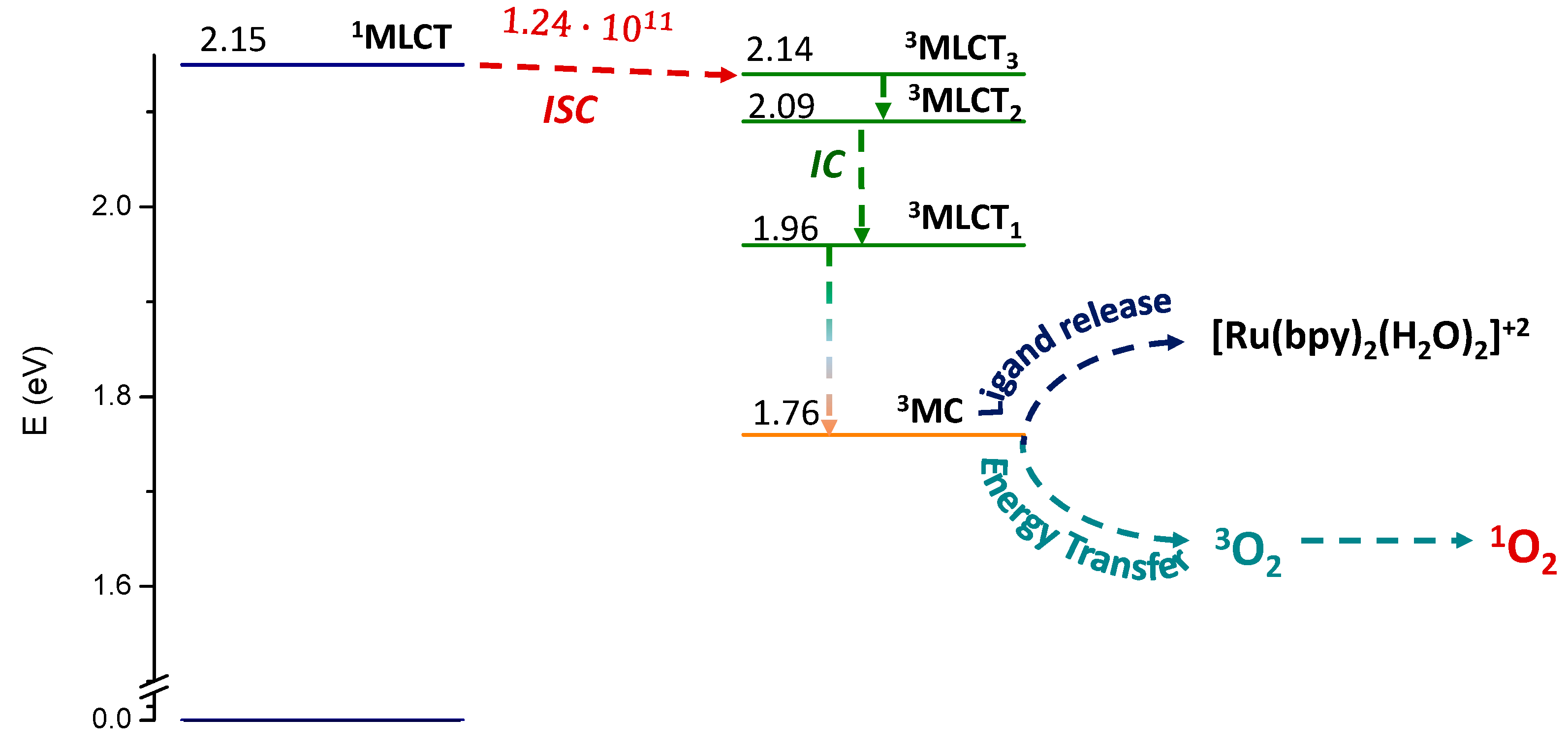 Molecules 29 04298 g005