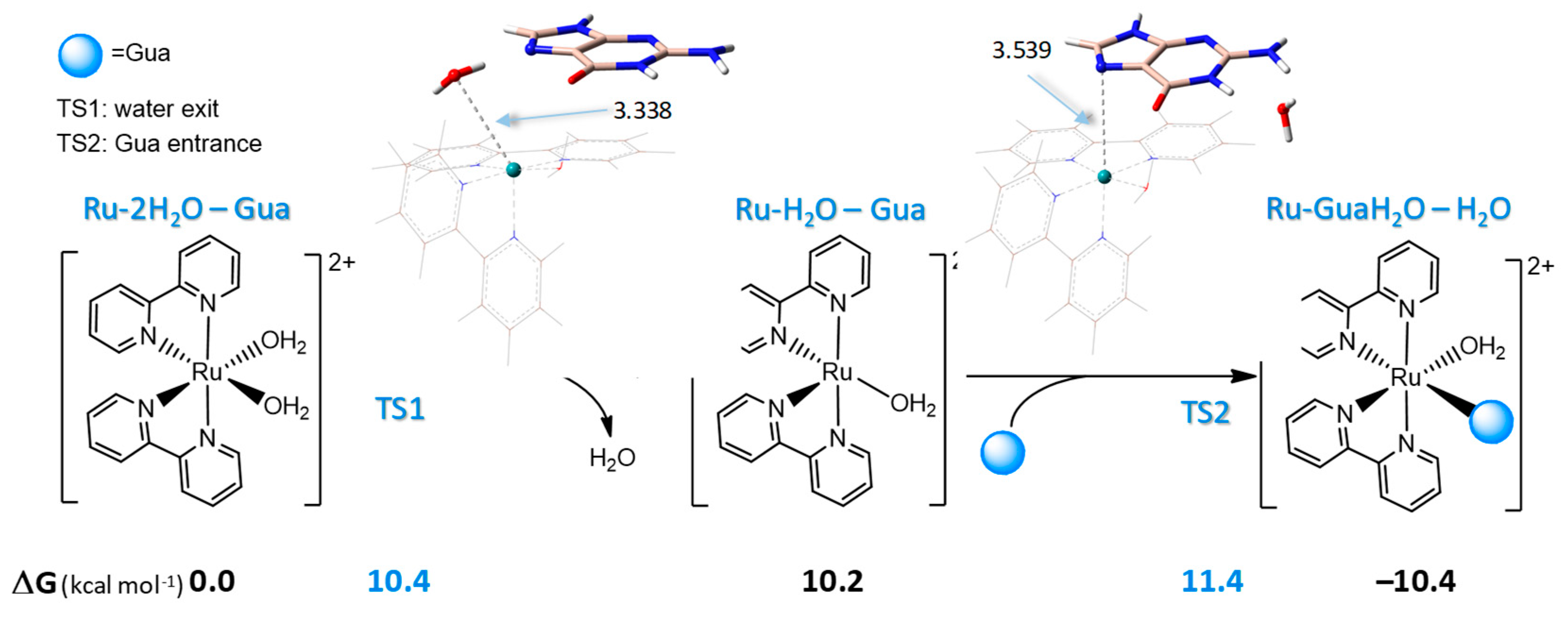 Molecules 29 04298 g007