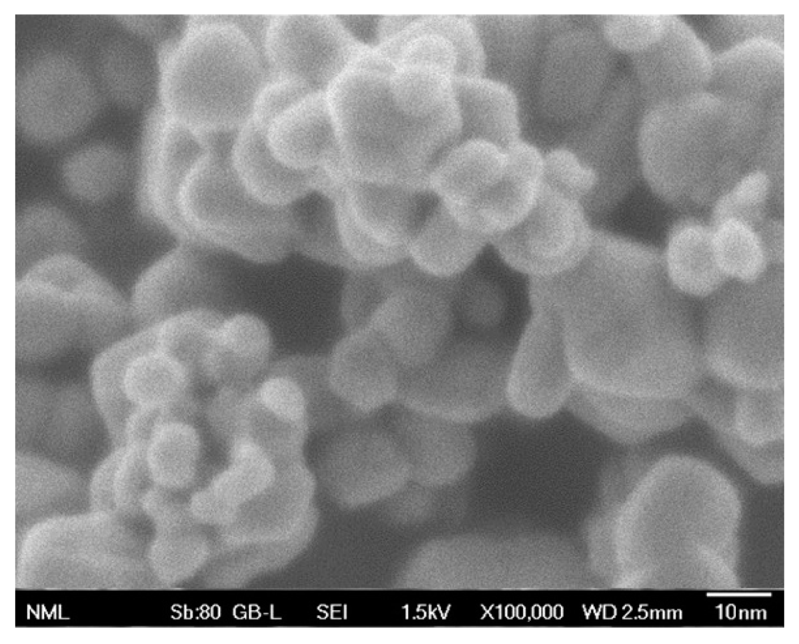 Molecules 29 04299 g007