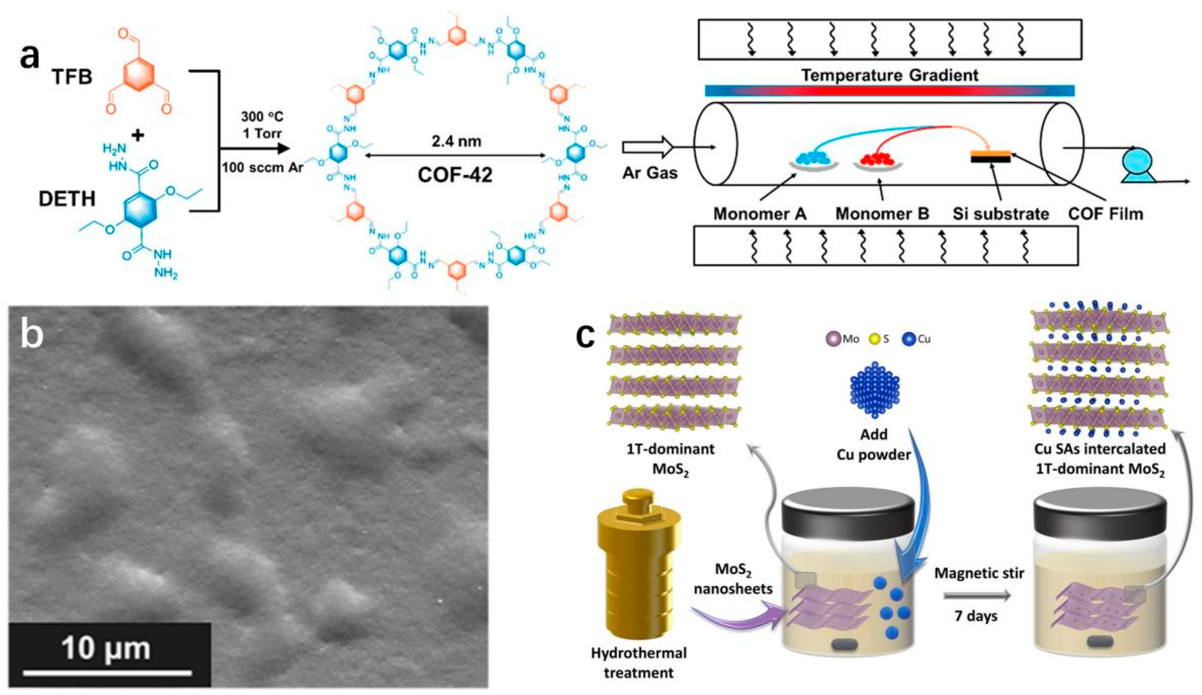 Molecules 29 04304 g002