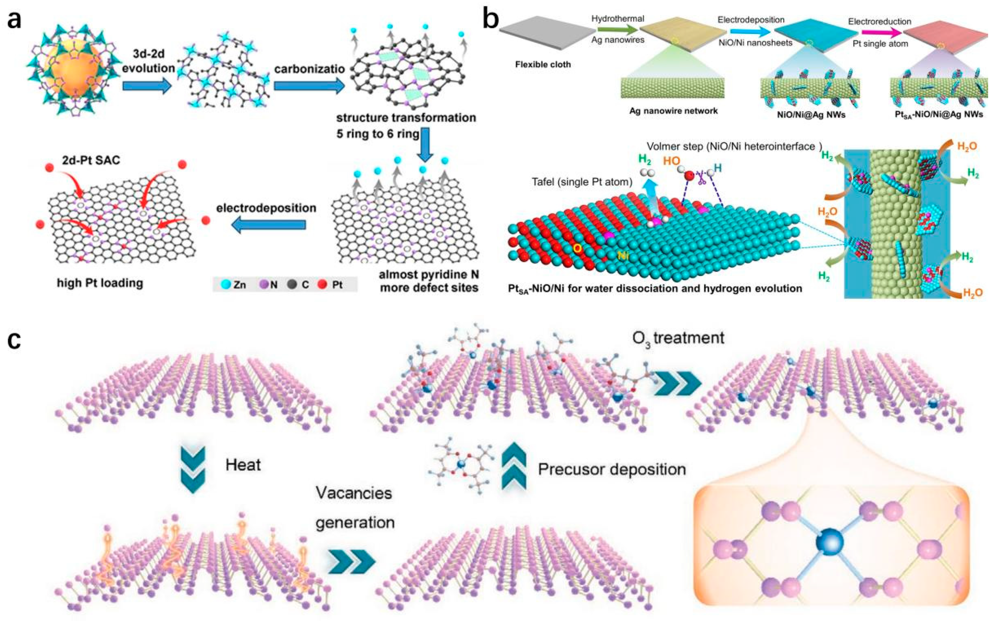 Molecules 29 04304 g005
