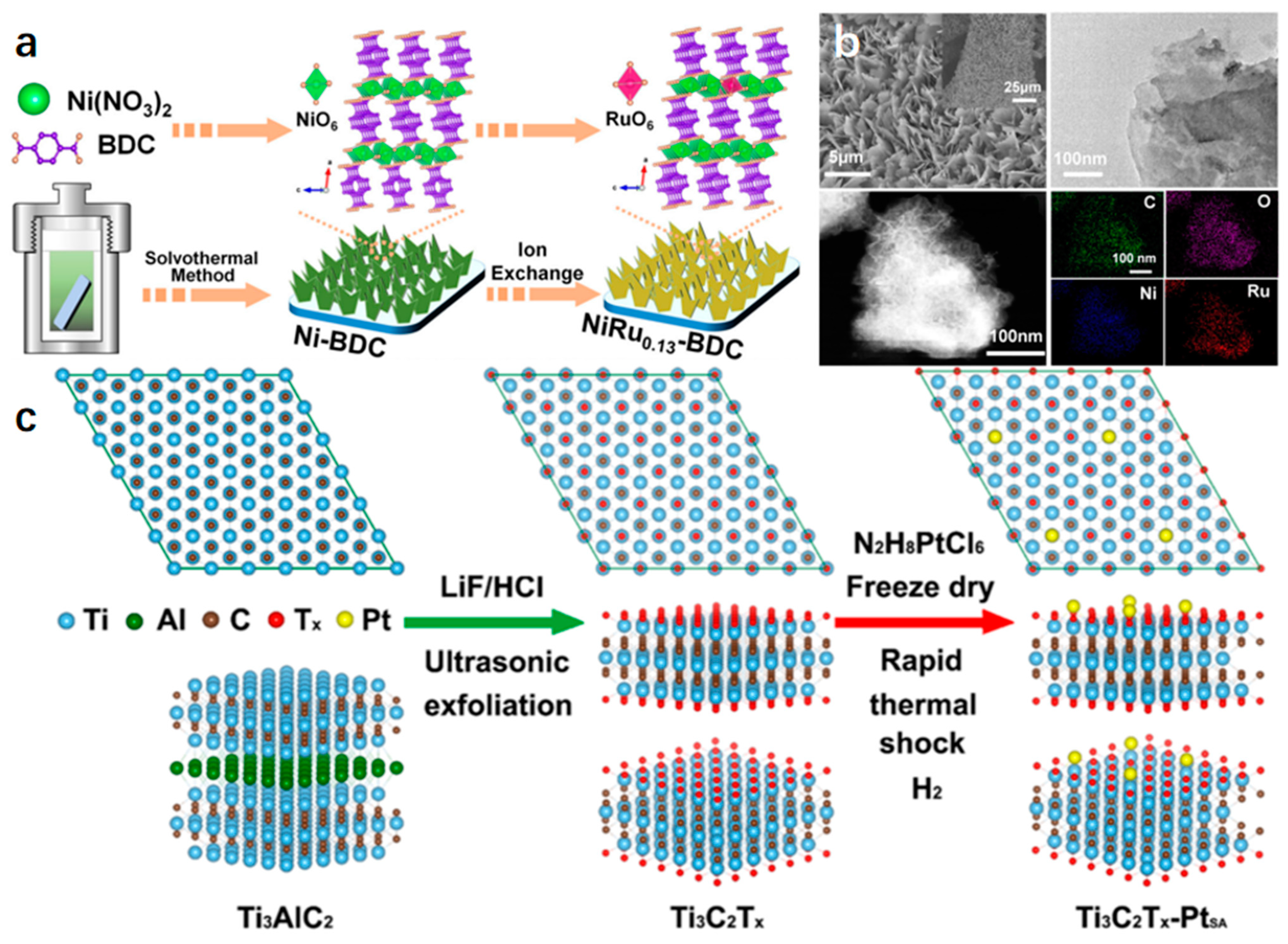 Molecules 29 04304 g006