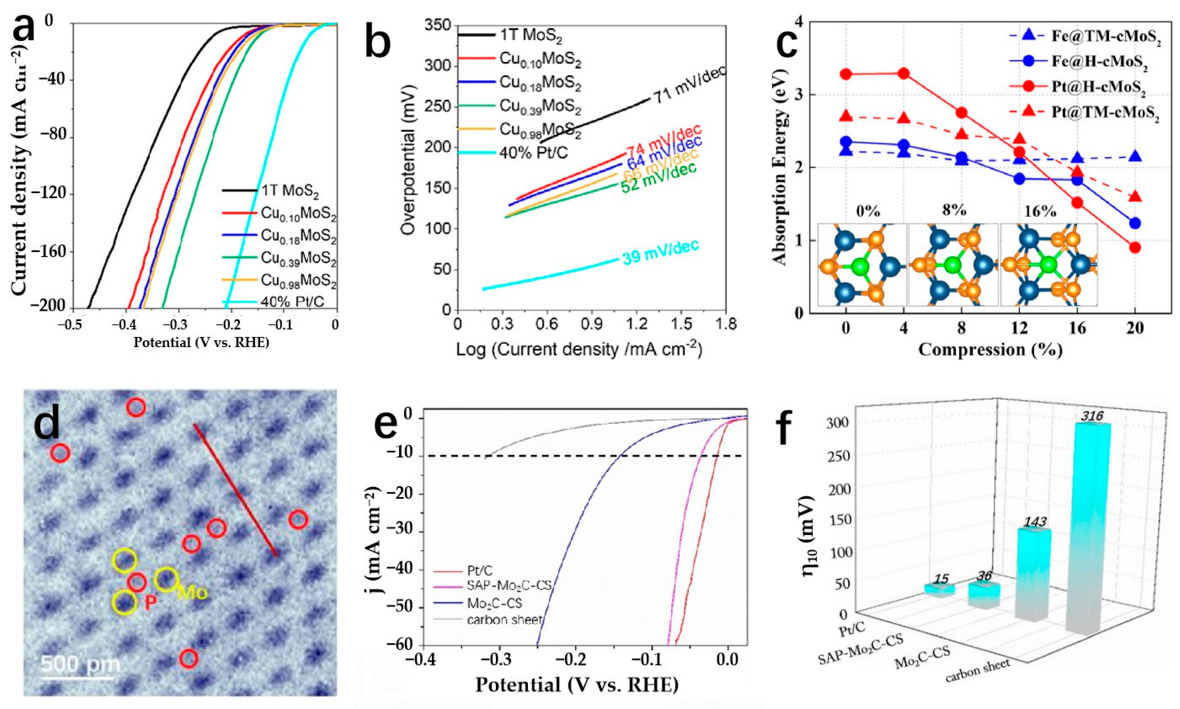 Molecules 29 04304 g010