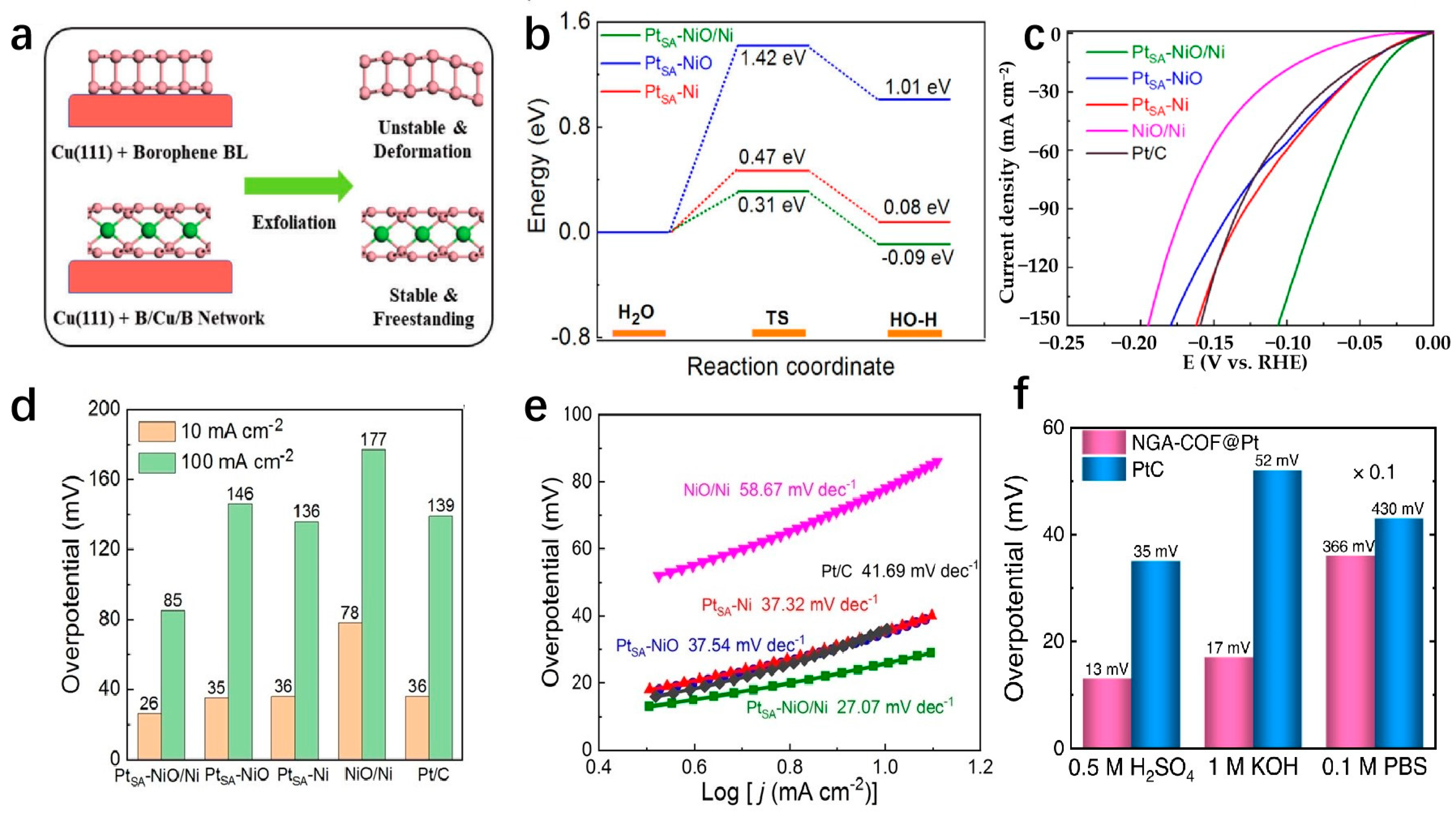 Molecules 29 04304 g012