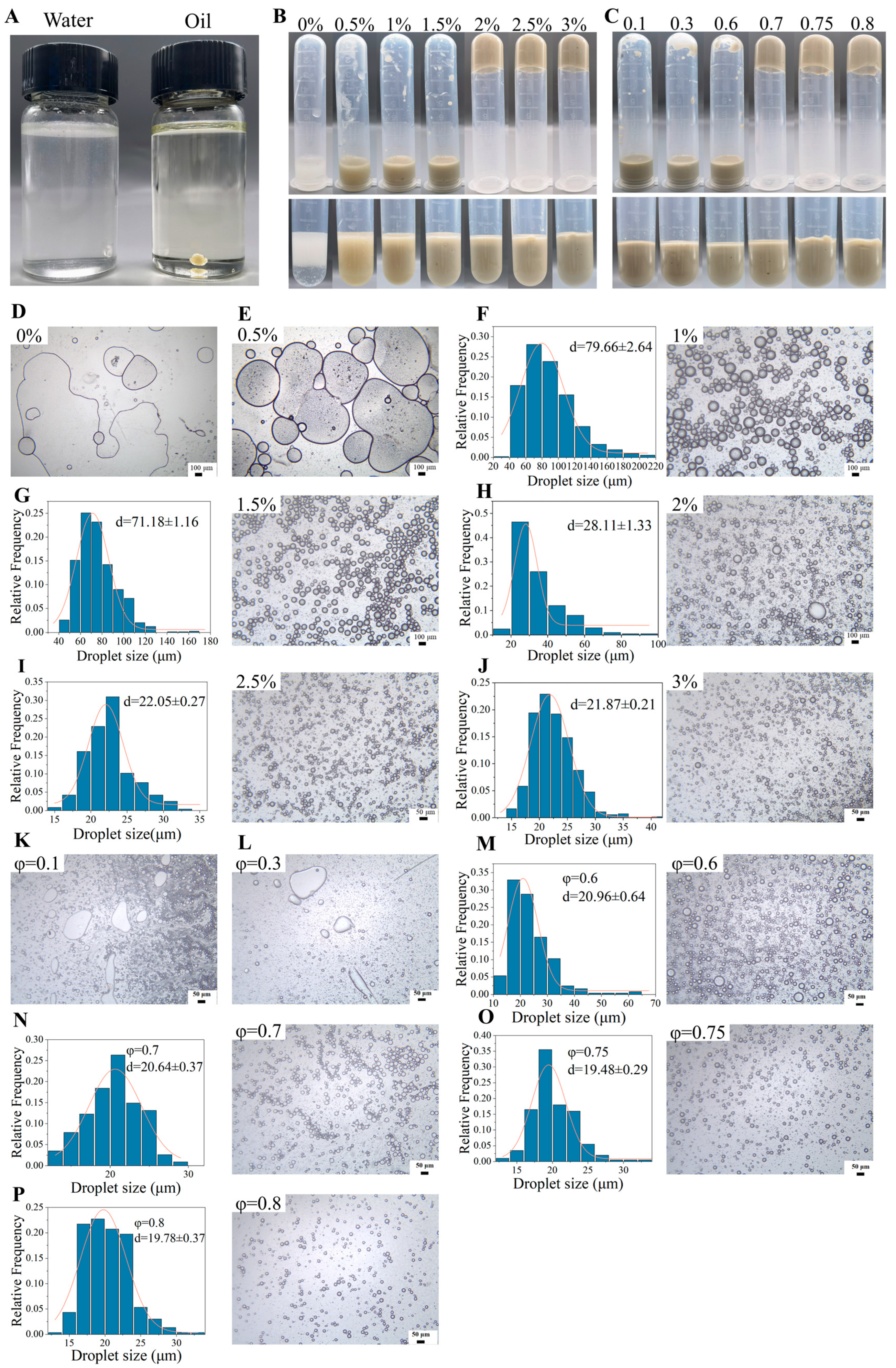 Molecules 29 04312 g004