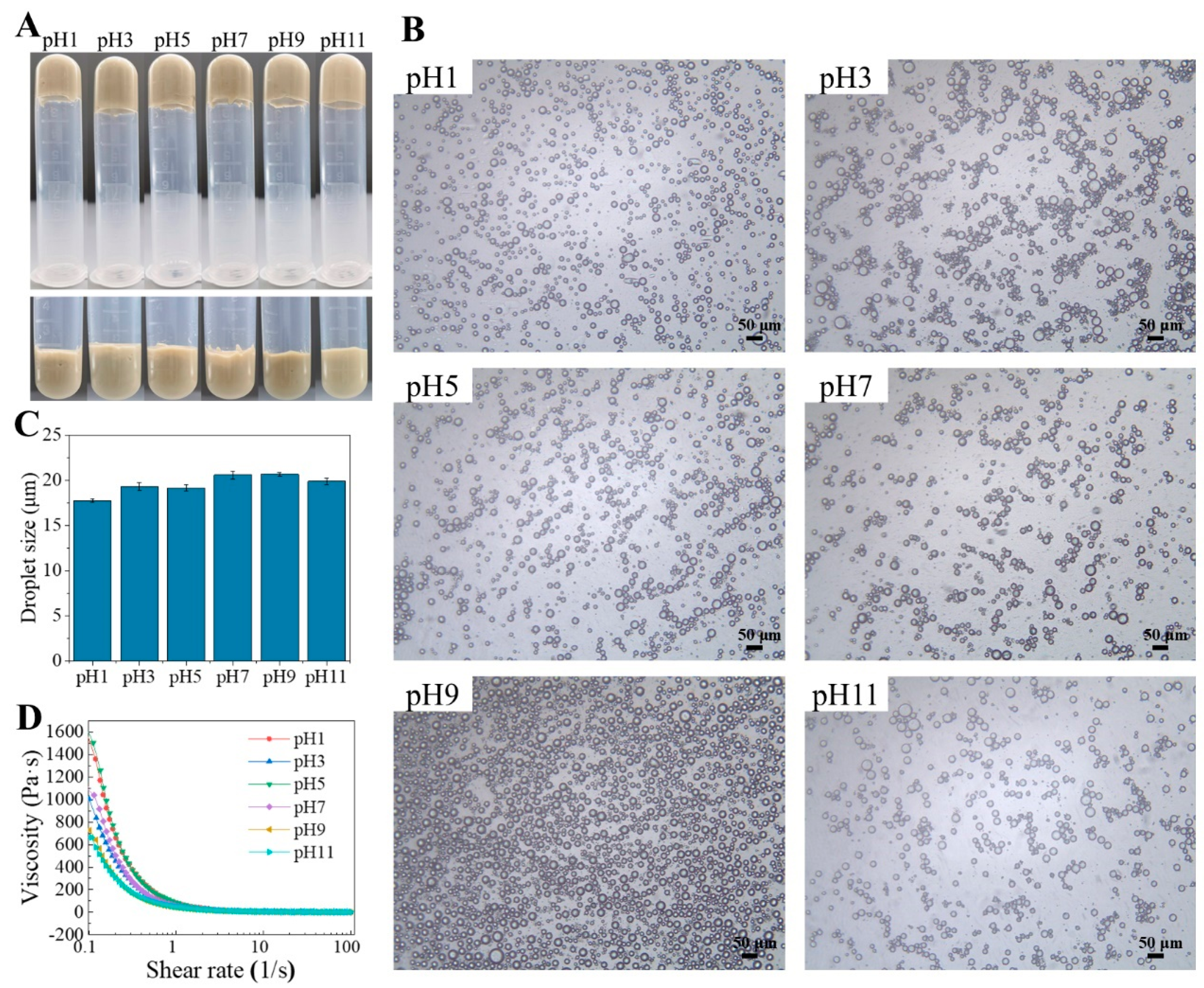 Molecules 29 04312 g005