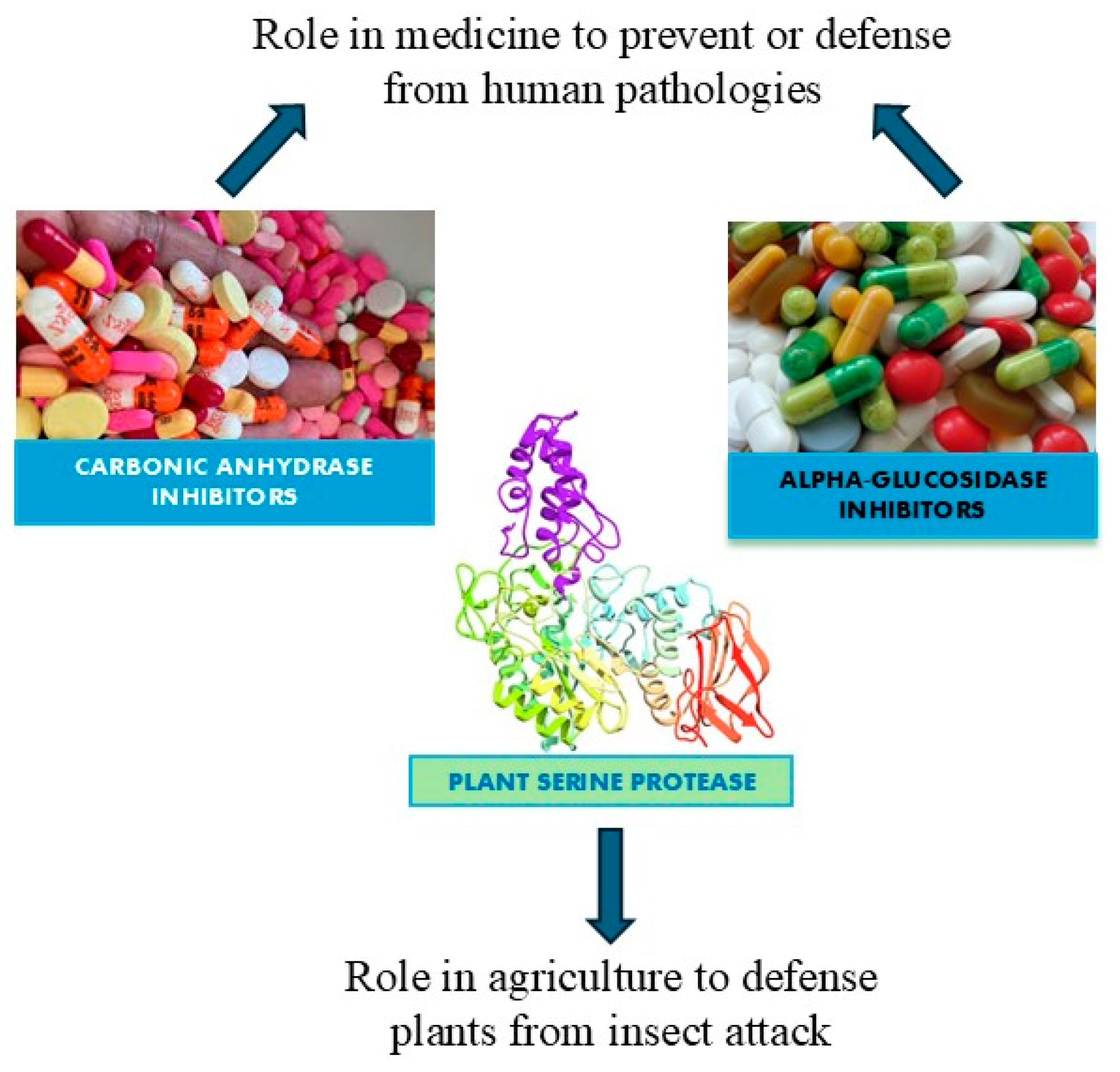 Molecules 29 04314 g001