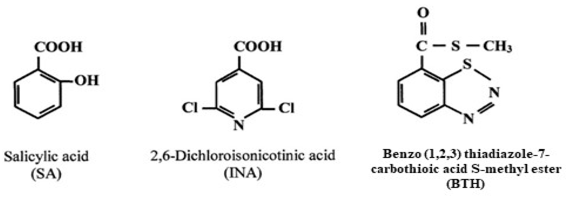 Molecules 29 04314 g002