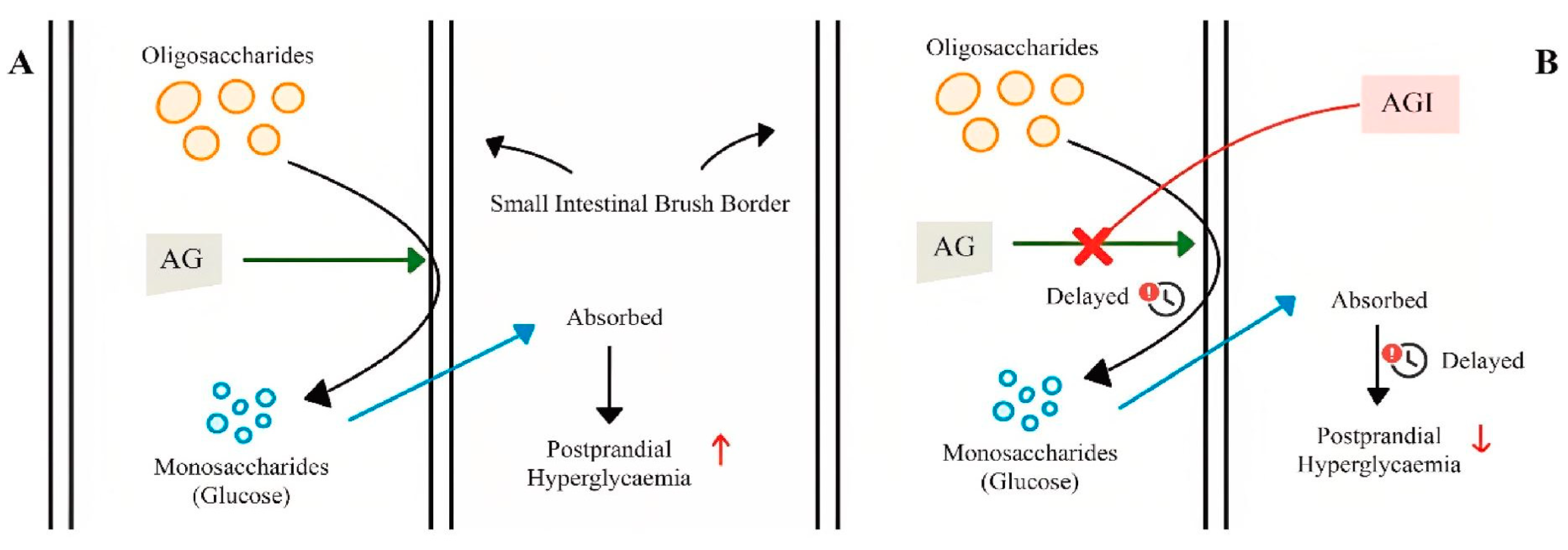 Molecules 29 04314 g004
