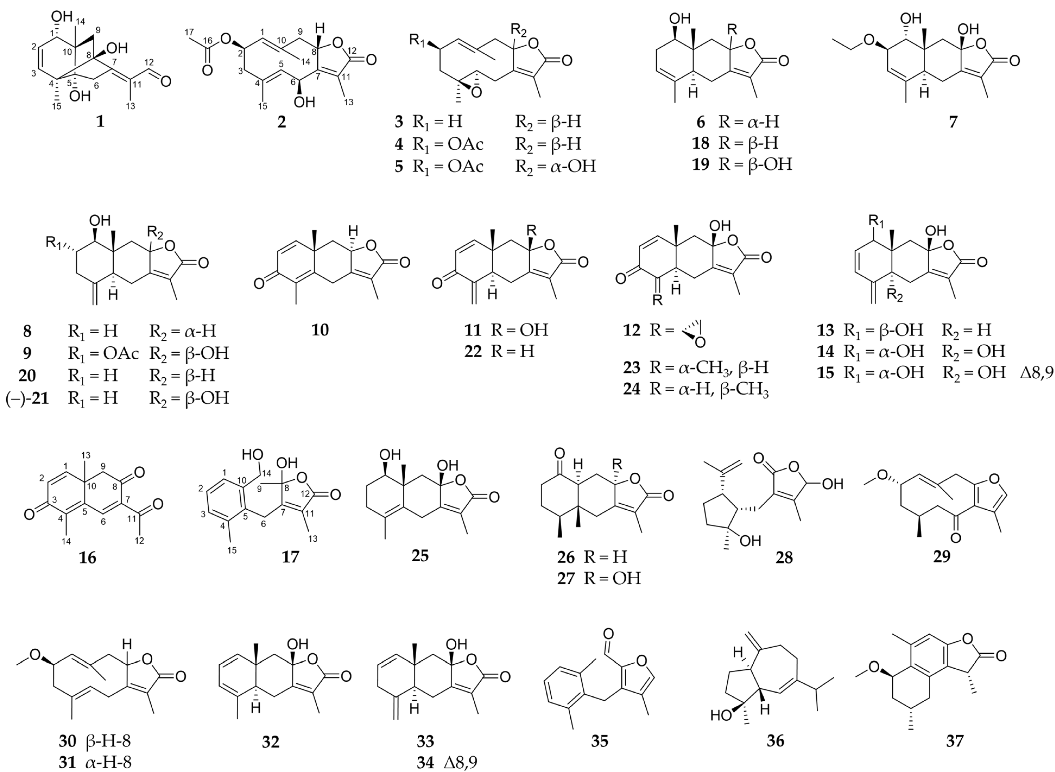 Molecules 29 04315 g001