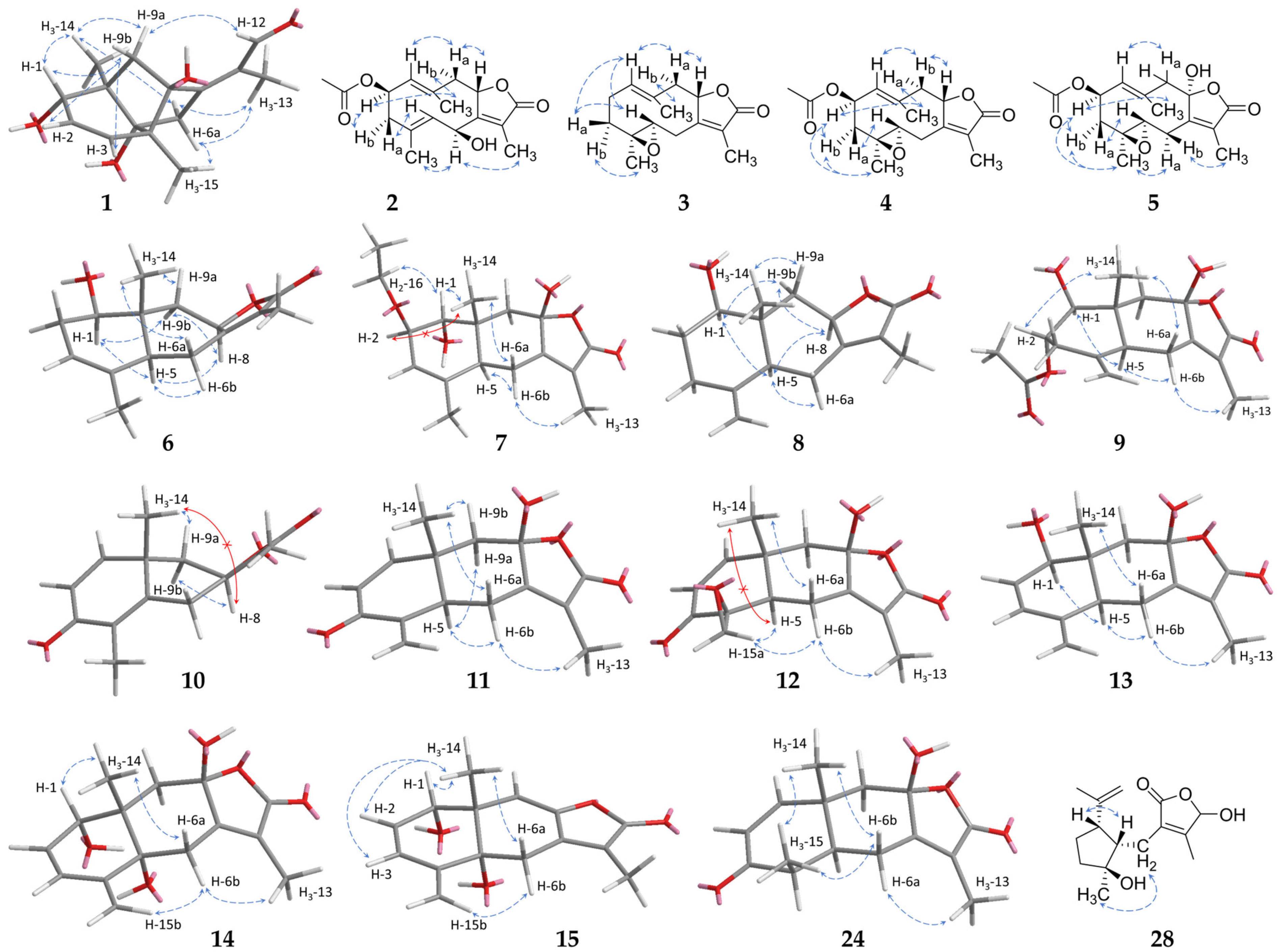 Molecules 29 04315 g003